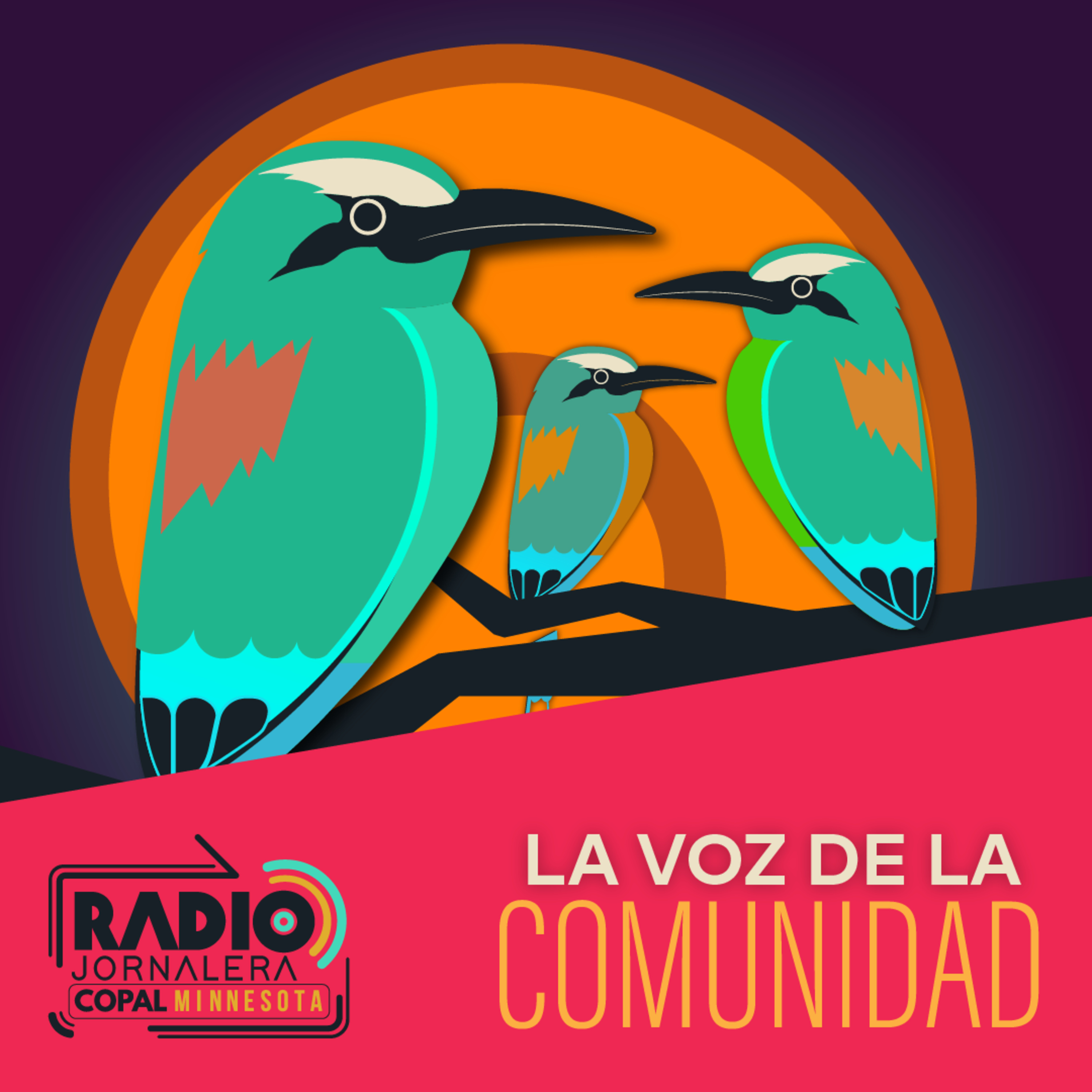 Portada de Radio Jornalera MN