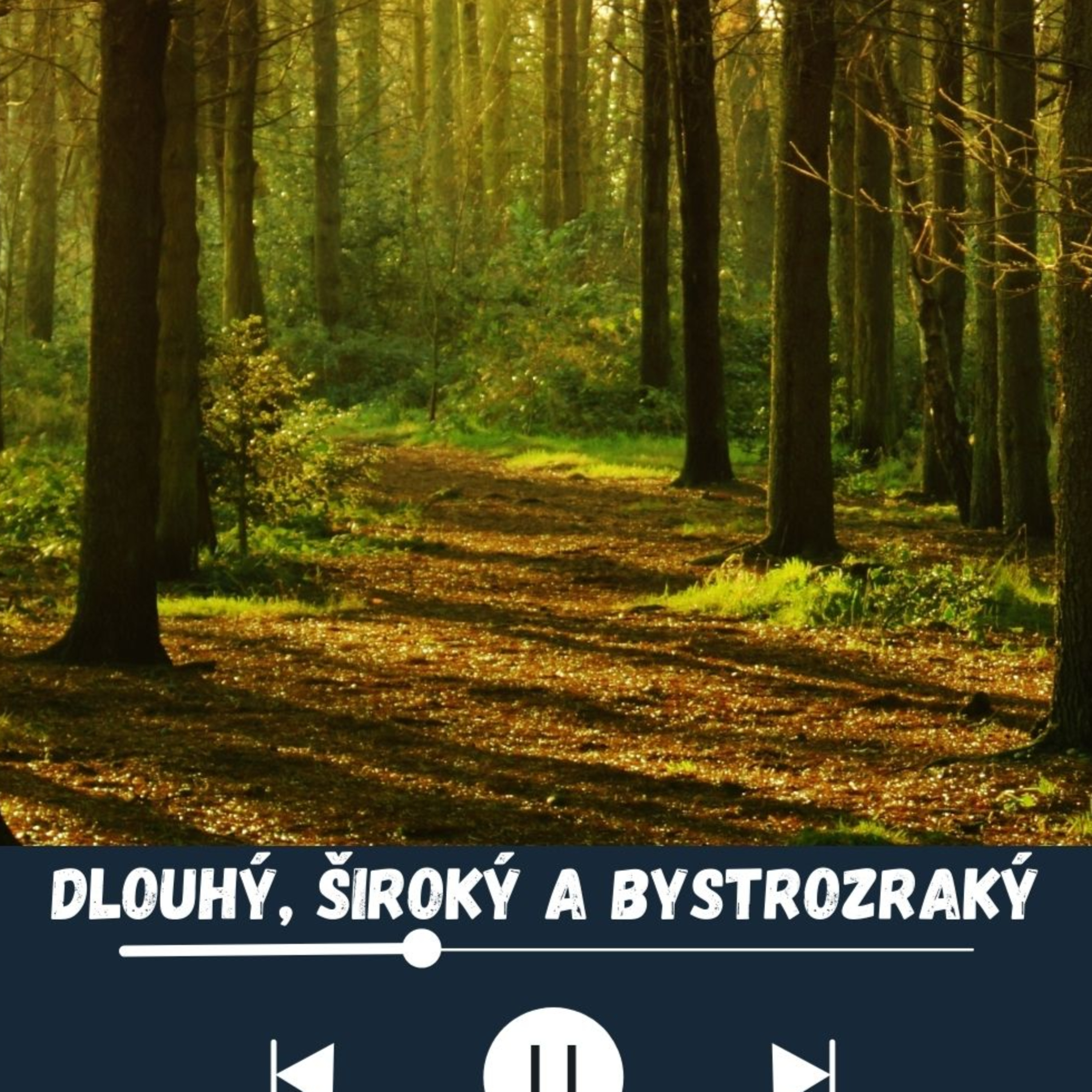 AUDIENTIA CZECH
