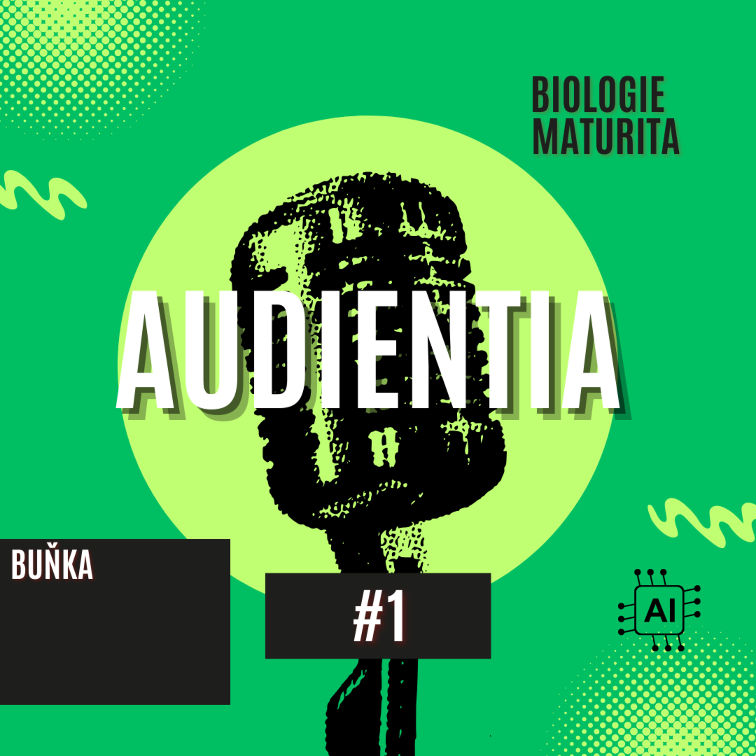 AUDIENTIA CZECH