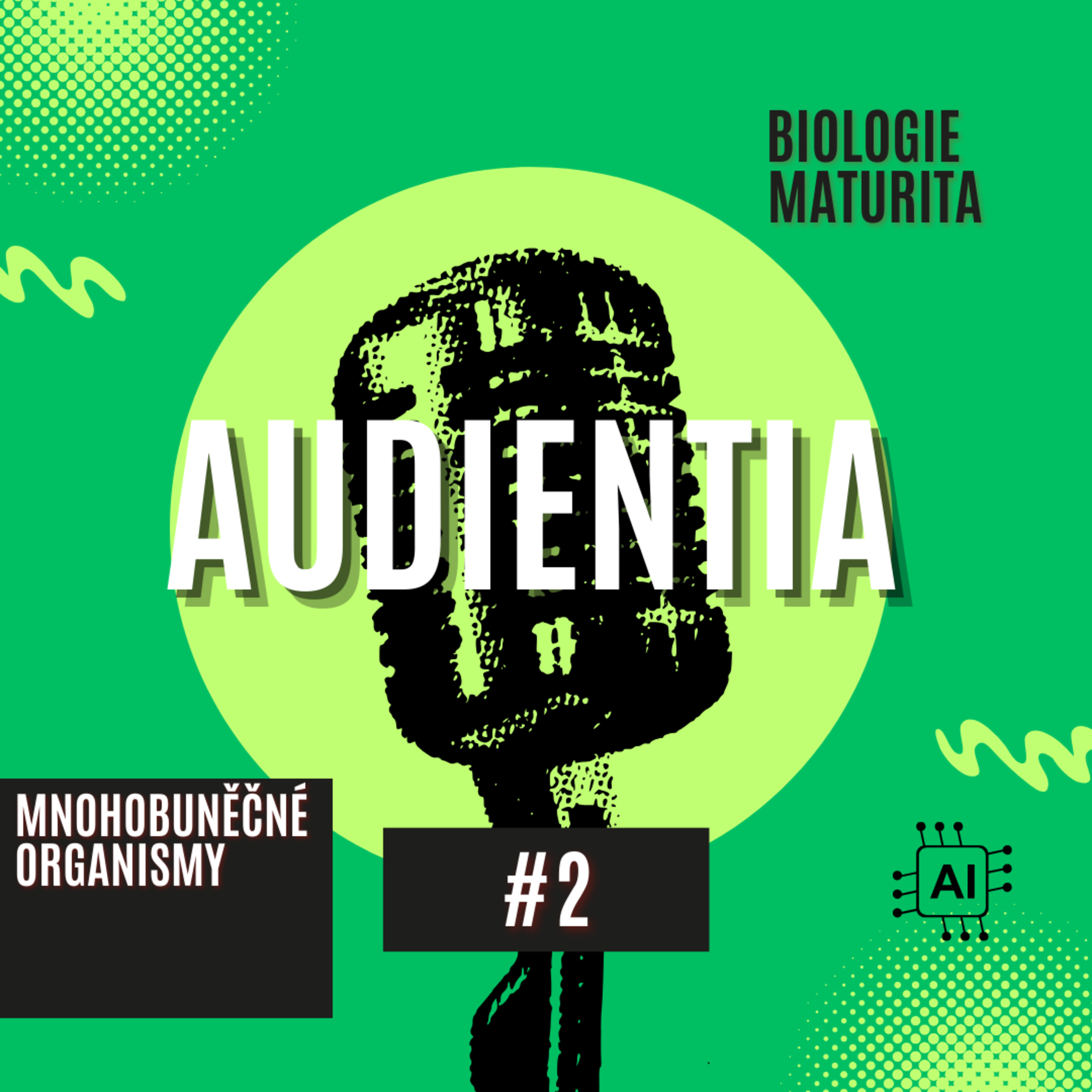 AUDIENTIA CZECH