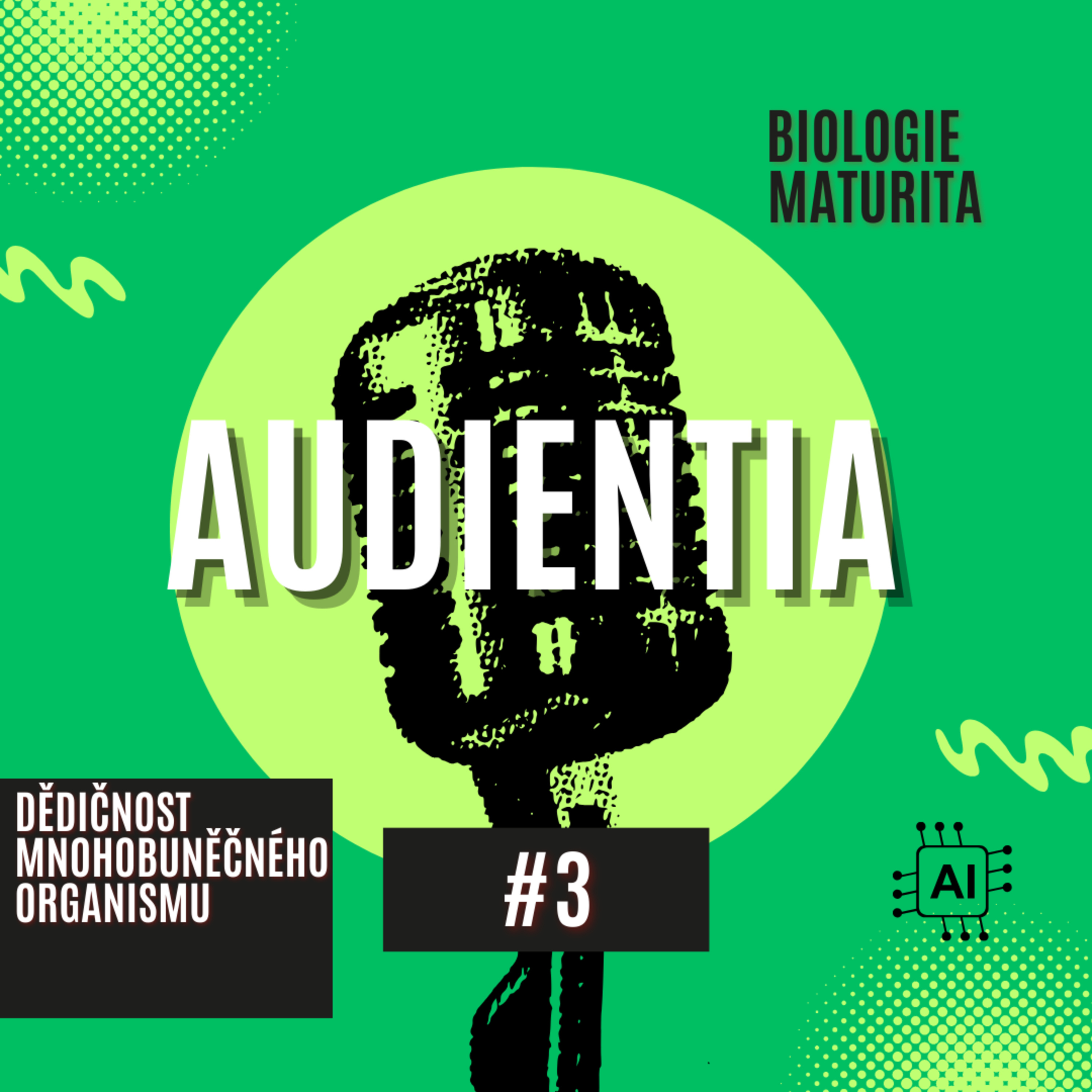 AUDIENTIA CZECH