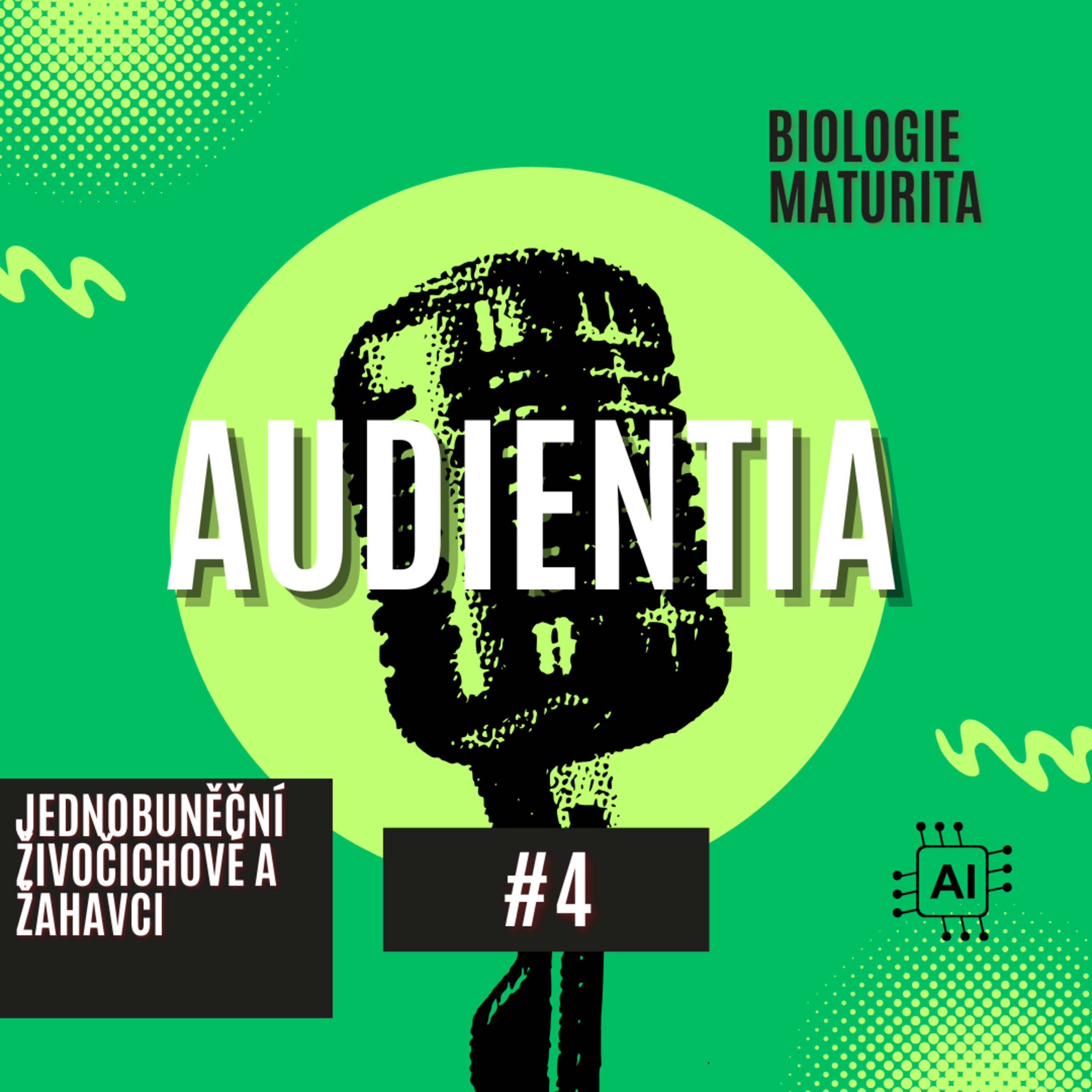 AUDIENTIA CZECH