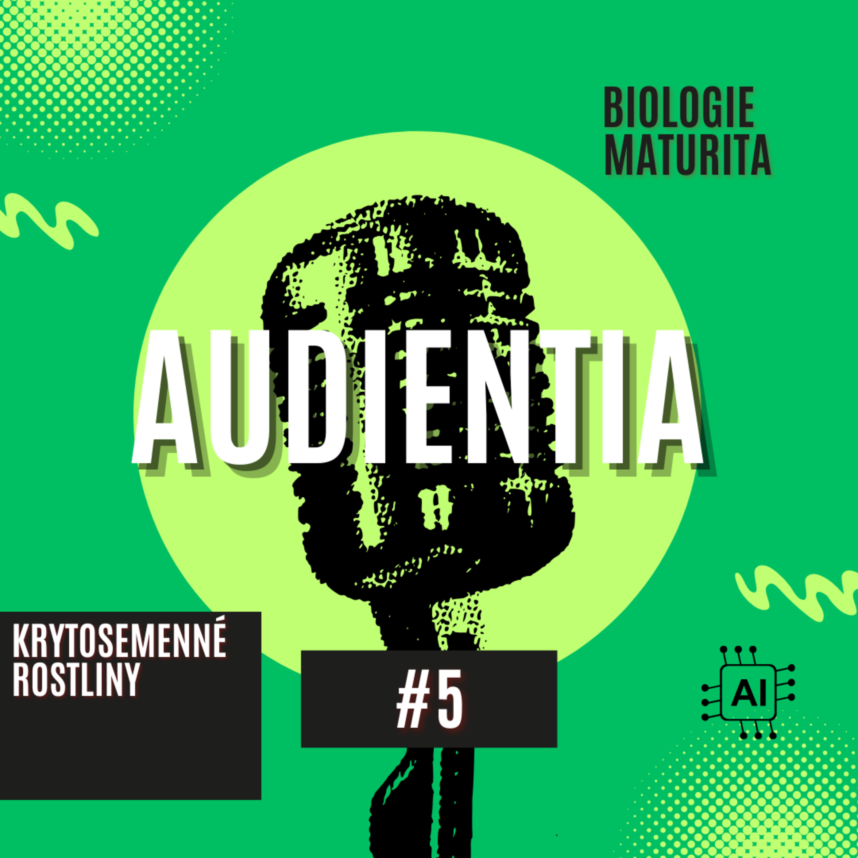 AUDIENTIA CZECH