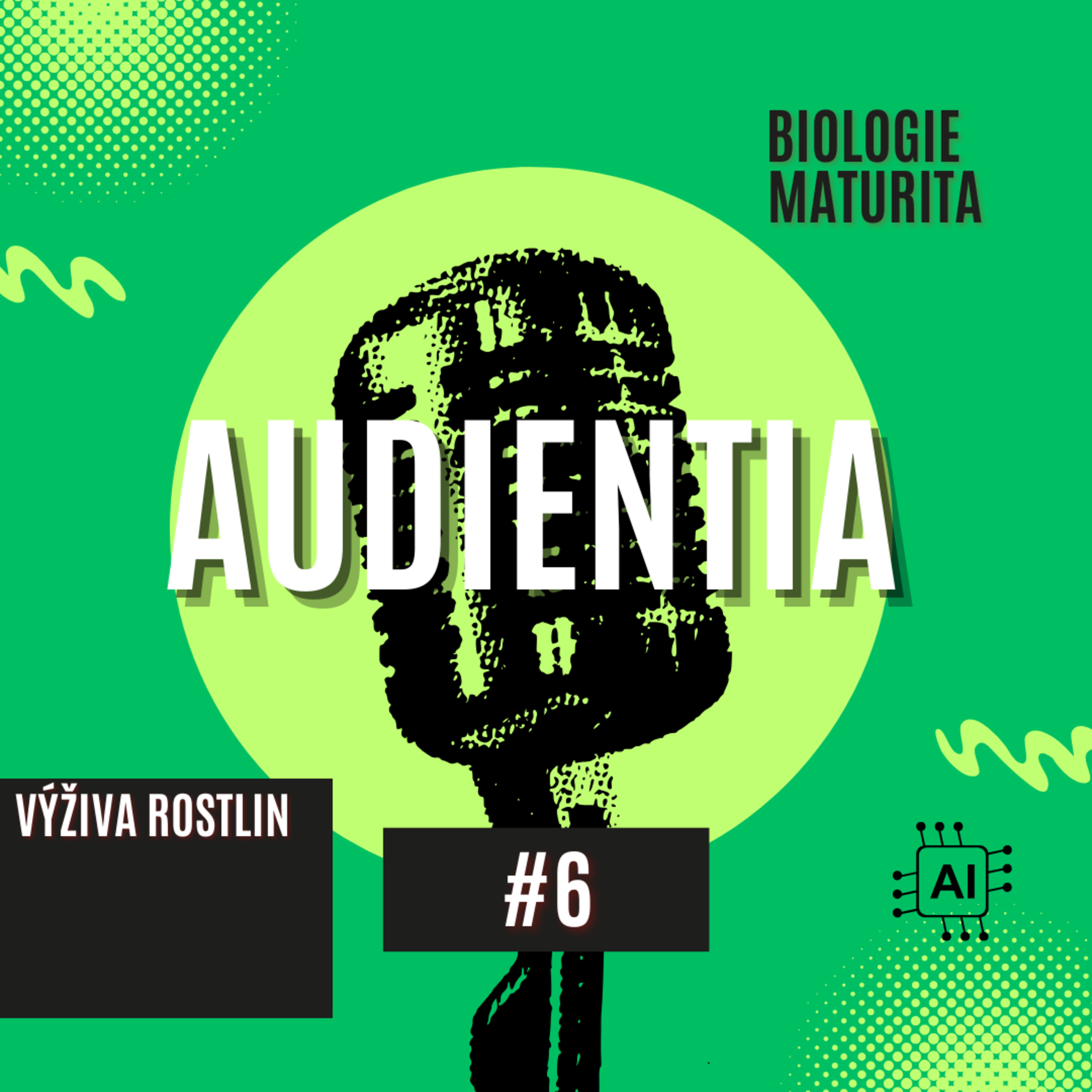 AUDIENTIA CZECH