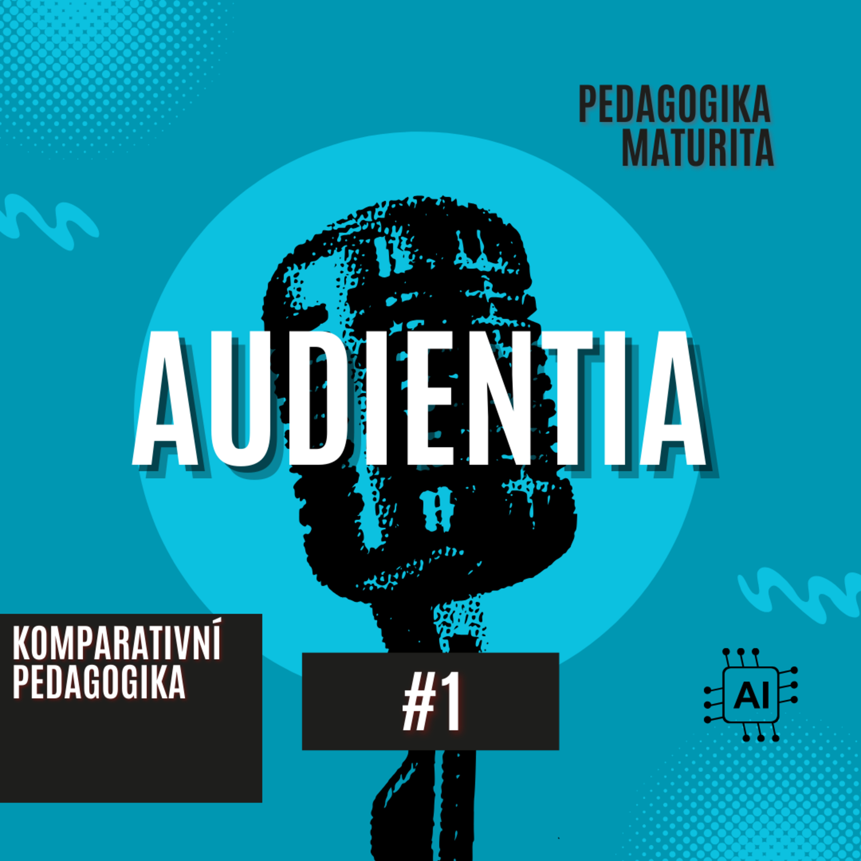 AUDIENTIA CZECH