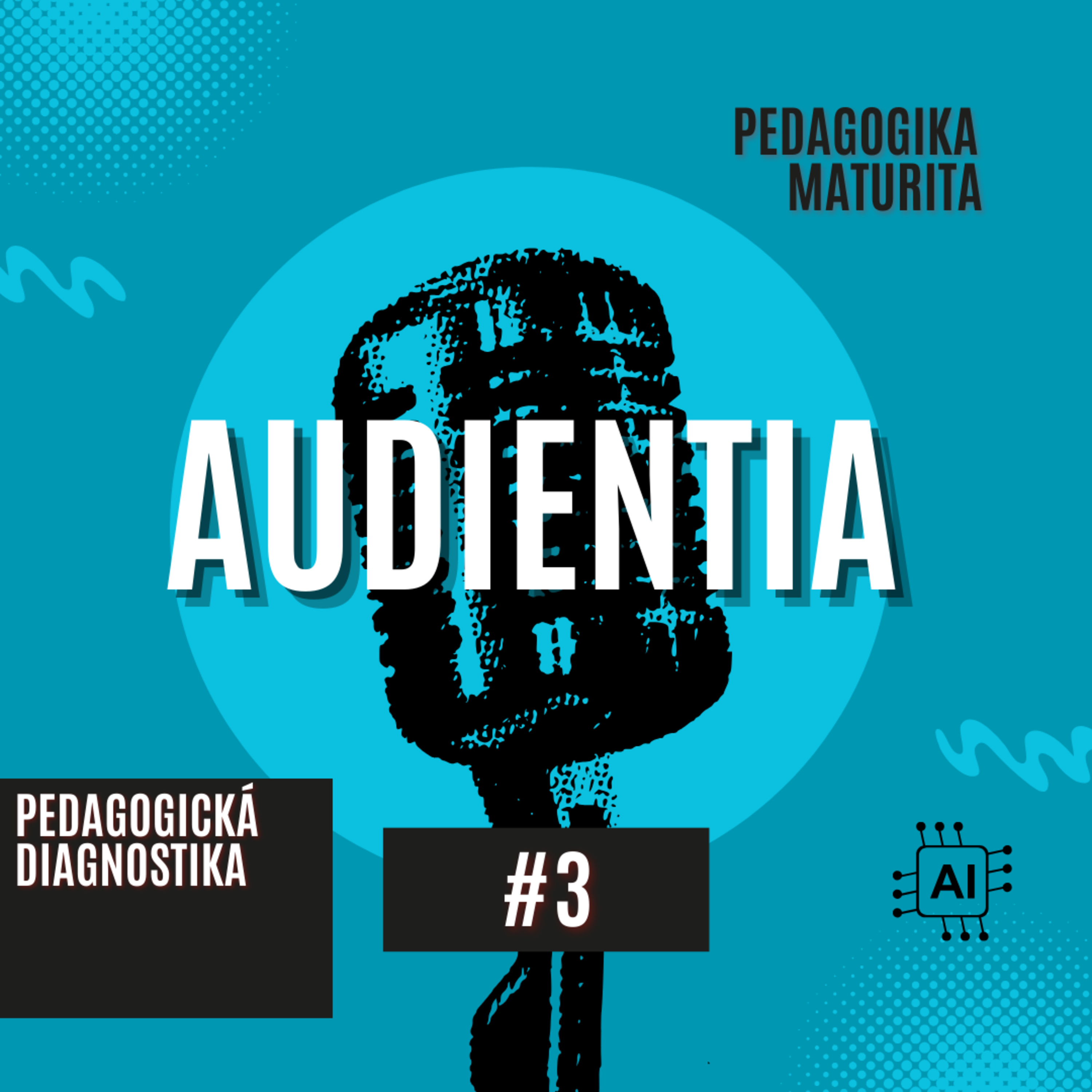 AUDIENTIA CZECH