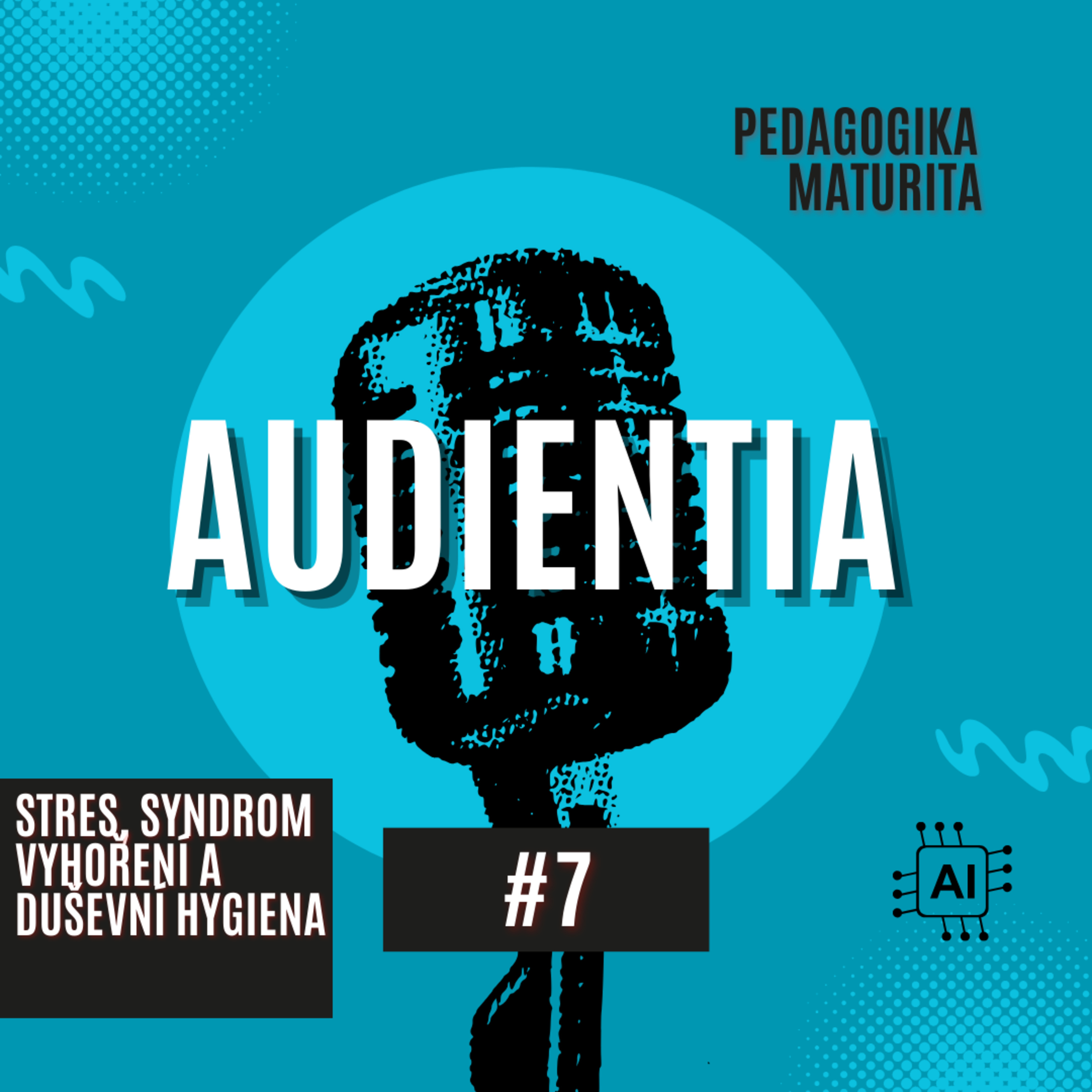 AUDIENTIA CZECH