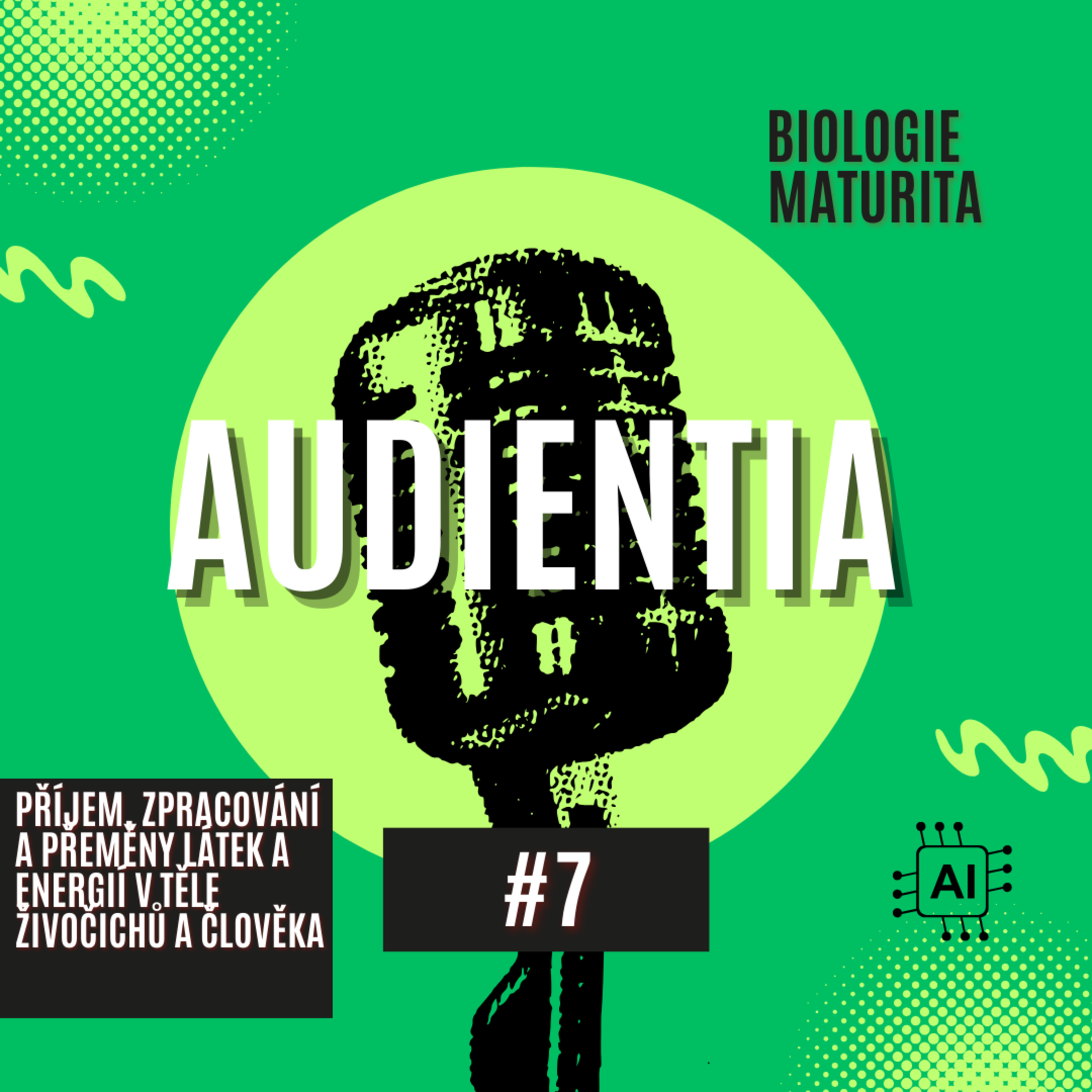 AUDIENTIA CZECH