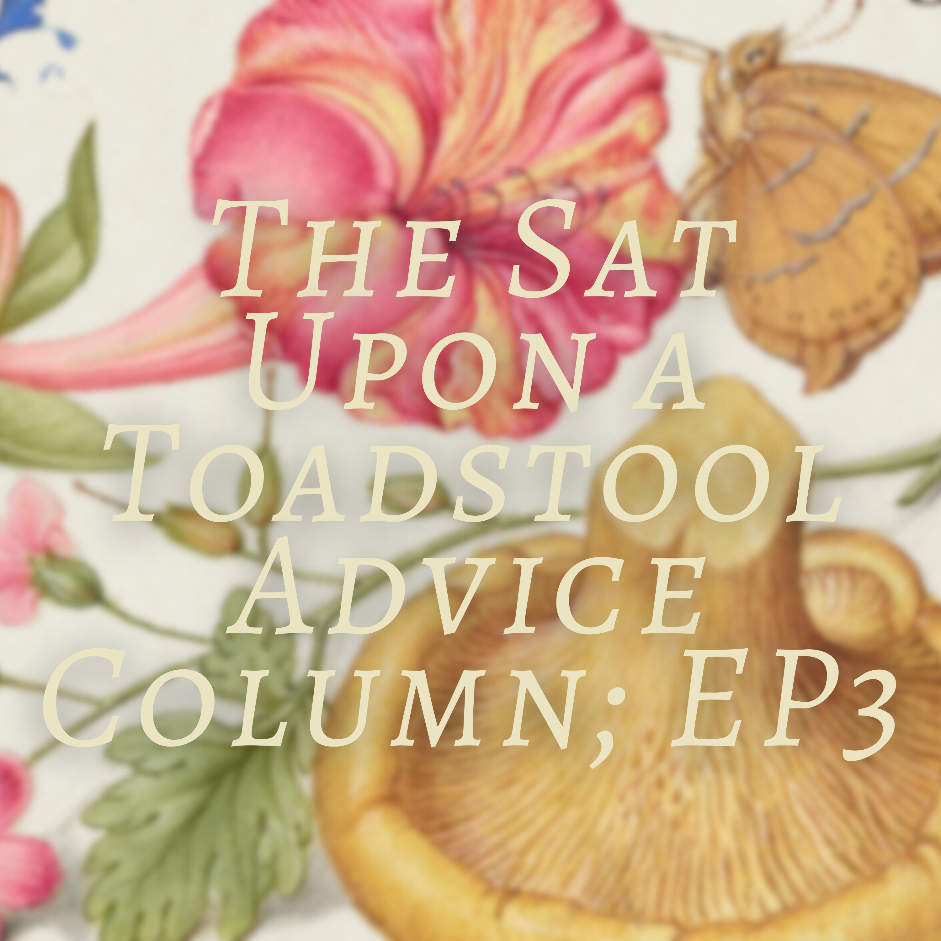 Sat Upon A Toadstool; A Witch\'s Podcast