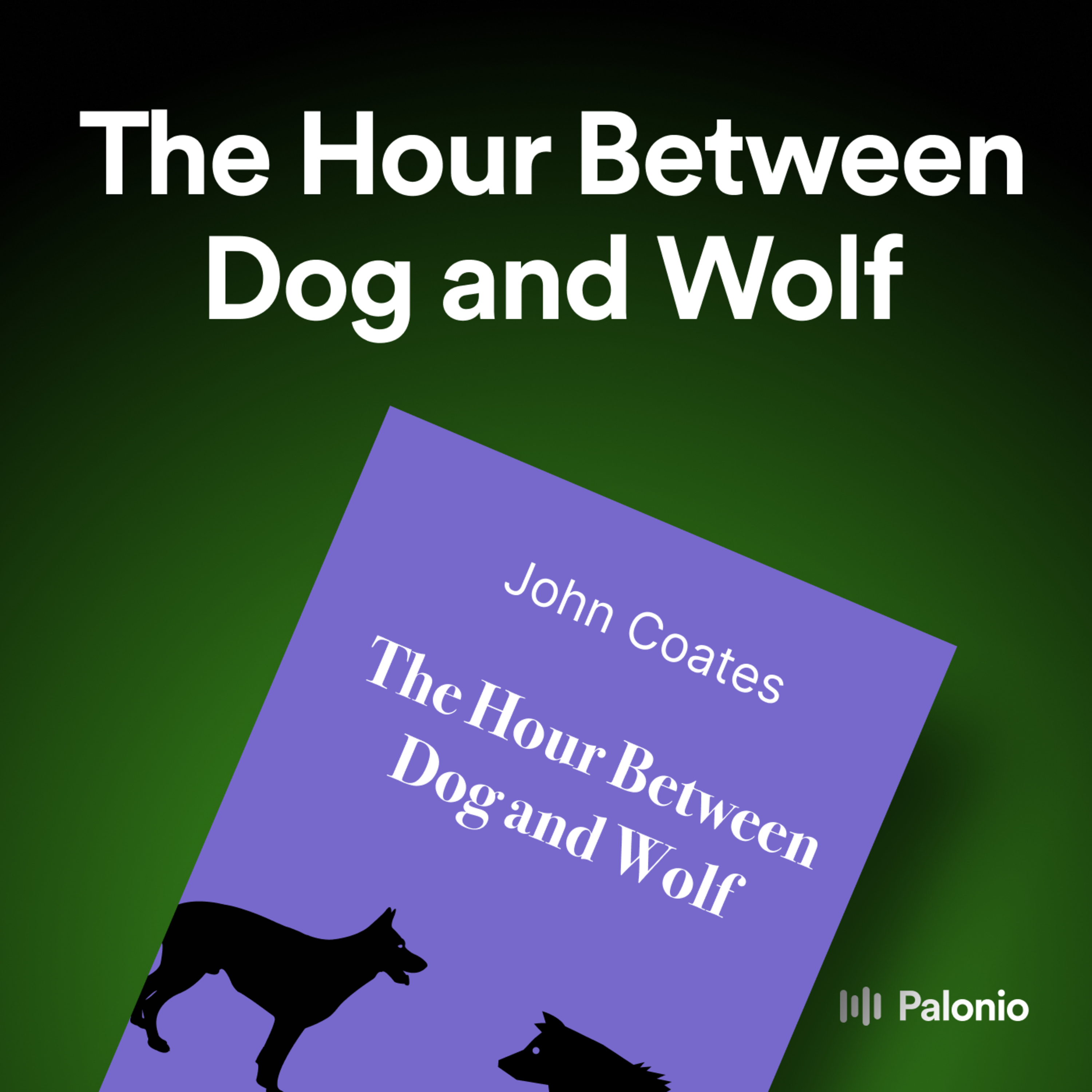 The Hour Between Dog and Wolf: Risk Taking, Gut Feelings and the Biology of Boom and Bust by John Coates