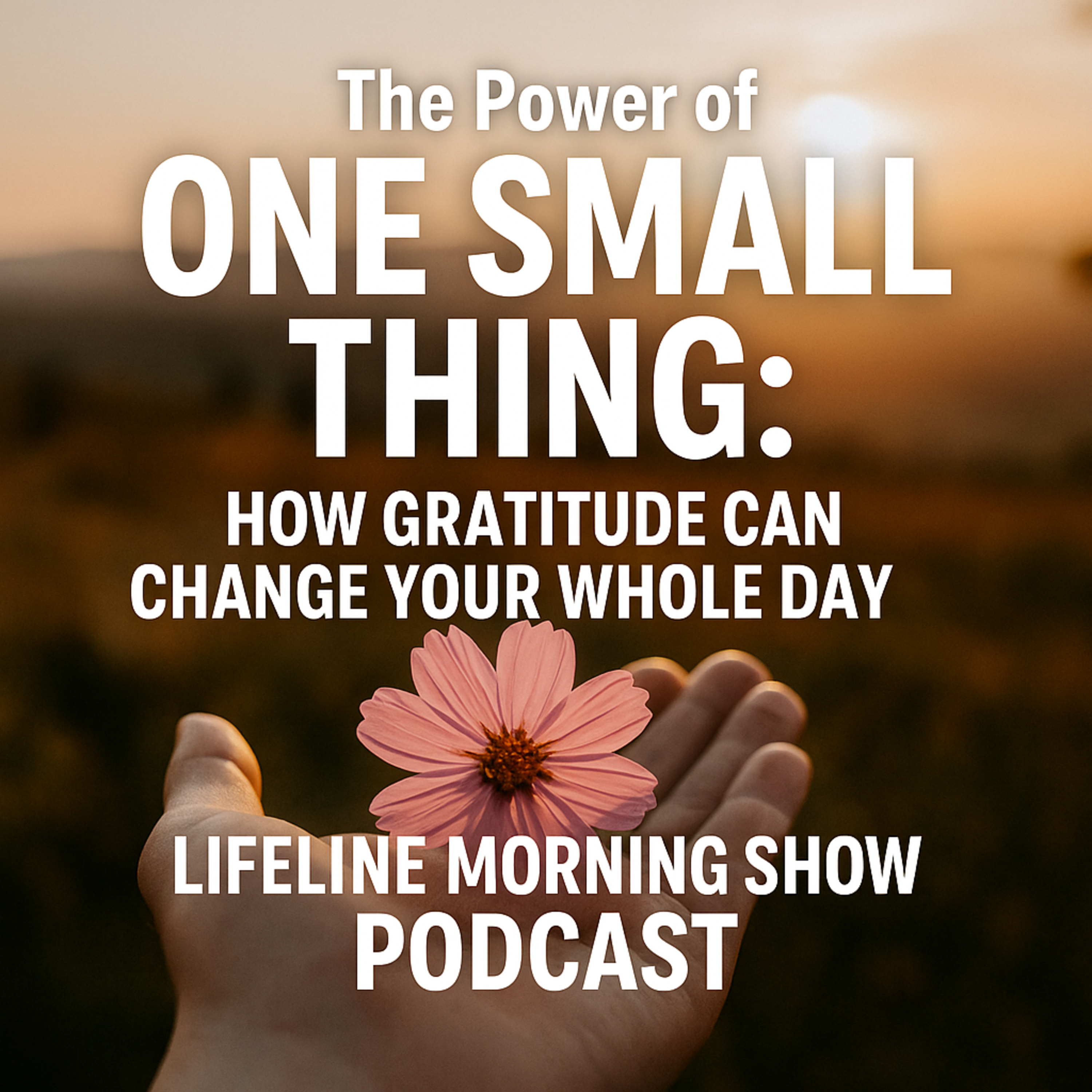 The Power of One Small Thing: How Gratitude Can Change Your Whole Day episode artwork