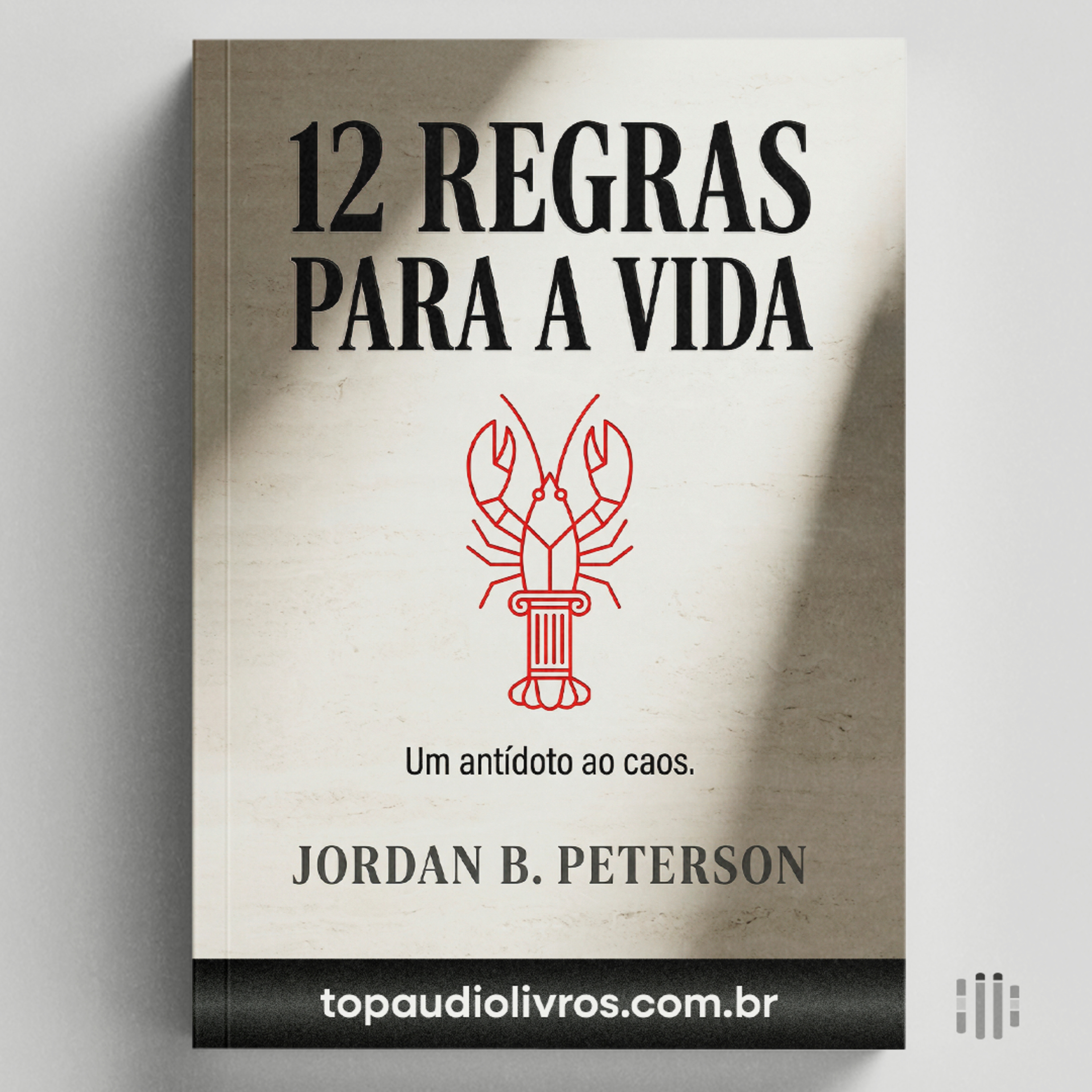 12 Regras Que Podem Mudar Sua Vida | 12 Regras Para a Vida (Jordan Peterson)