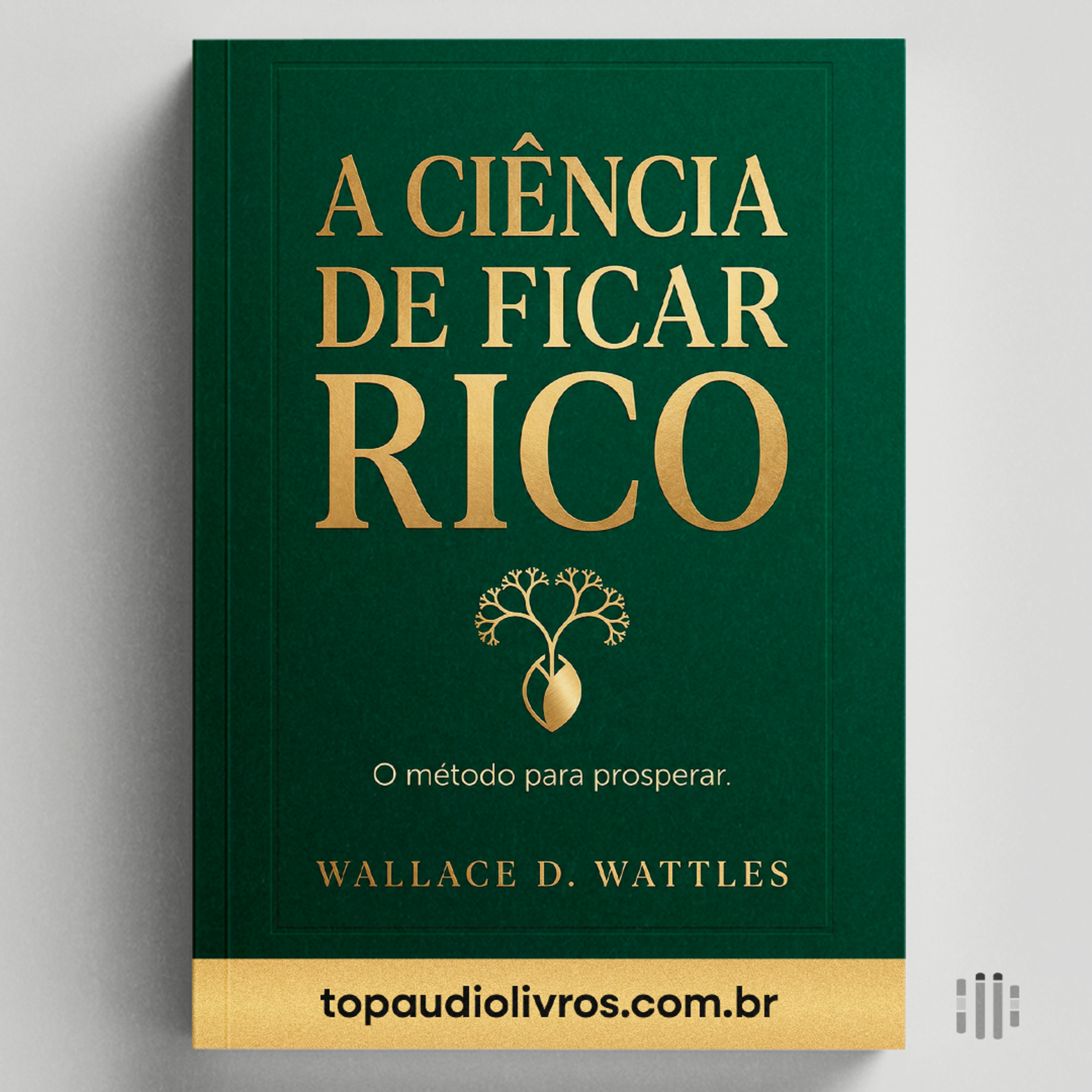 Como Atrair Riqueza (Mentalidade Certa) | A ciência de ficar rico (Wallace D. Wattles)