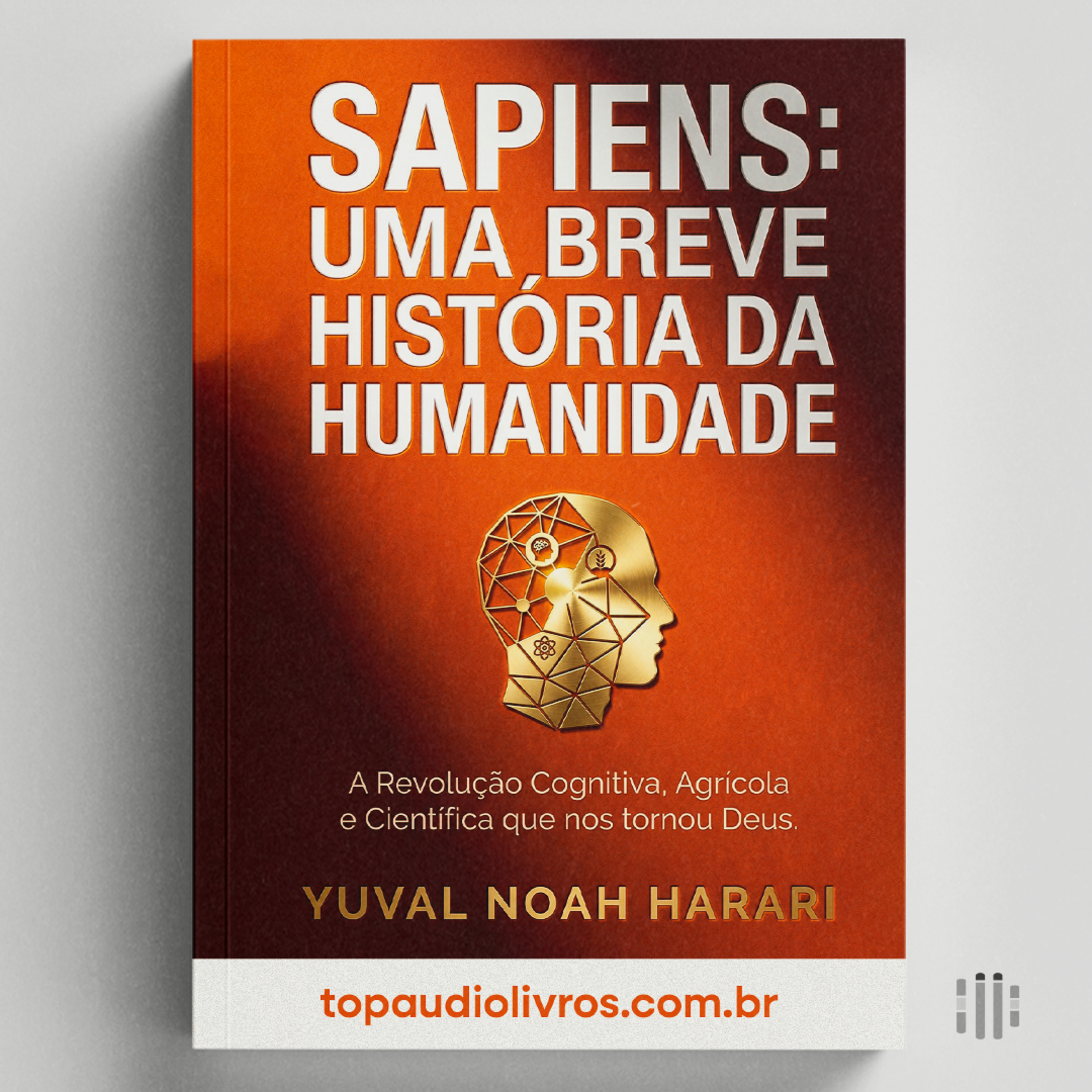 Top Áudio Livros