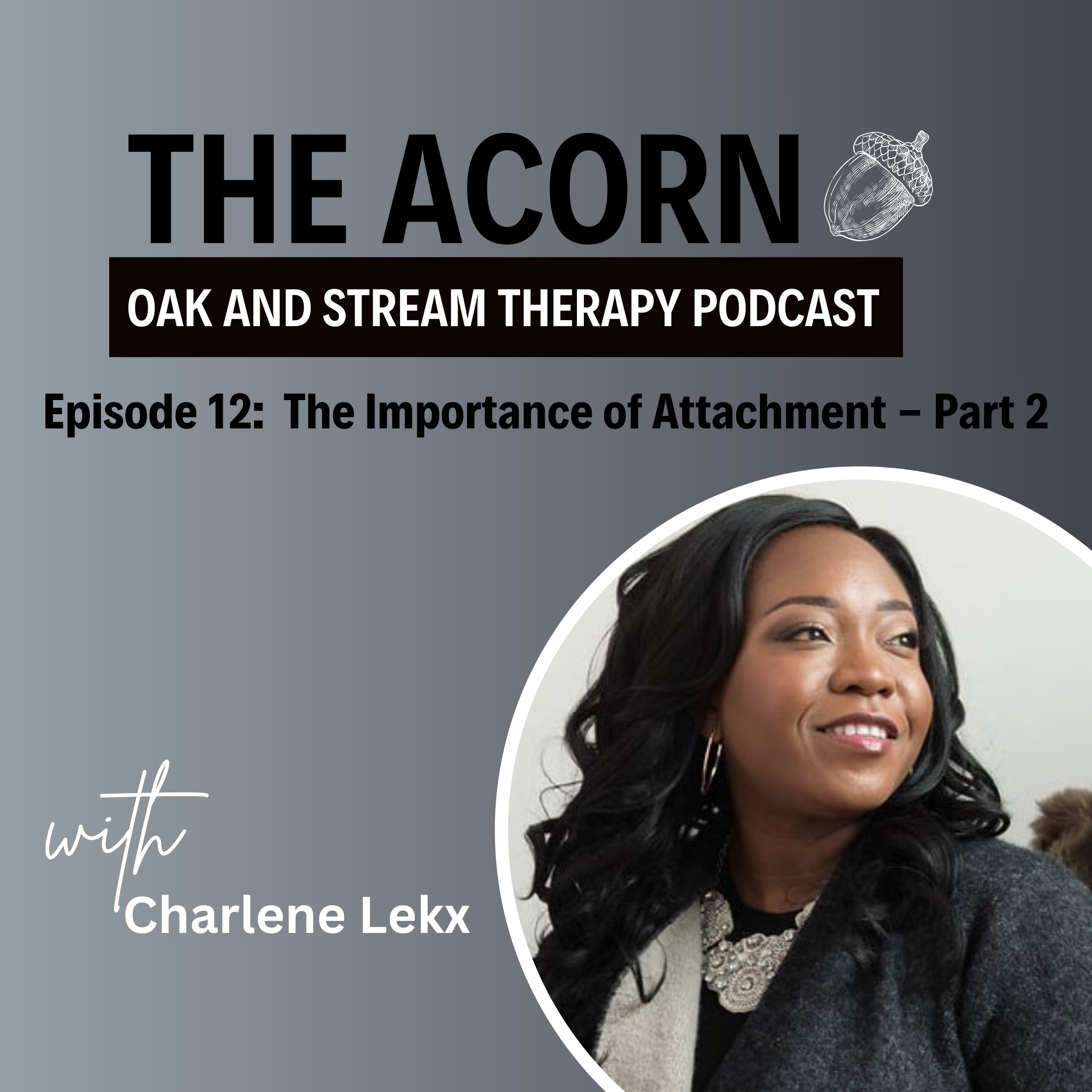 The Importance of Attachment - Part 2 episode artwork