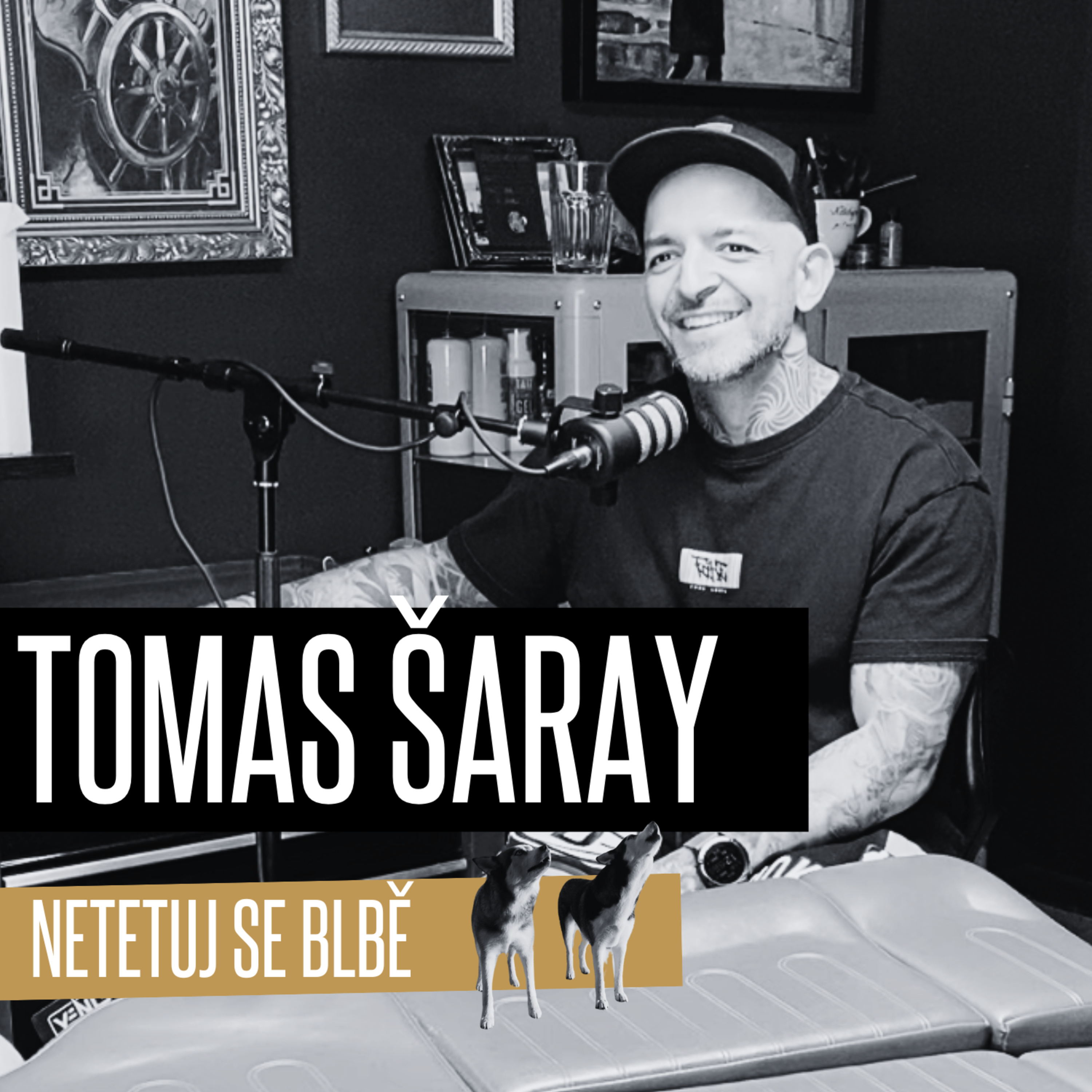 #19 🐺 TOMAS ŠARAY: O postupech, učení se a růstu, zákaznících, cenách i tetování v zahraničí  episode artwork