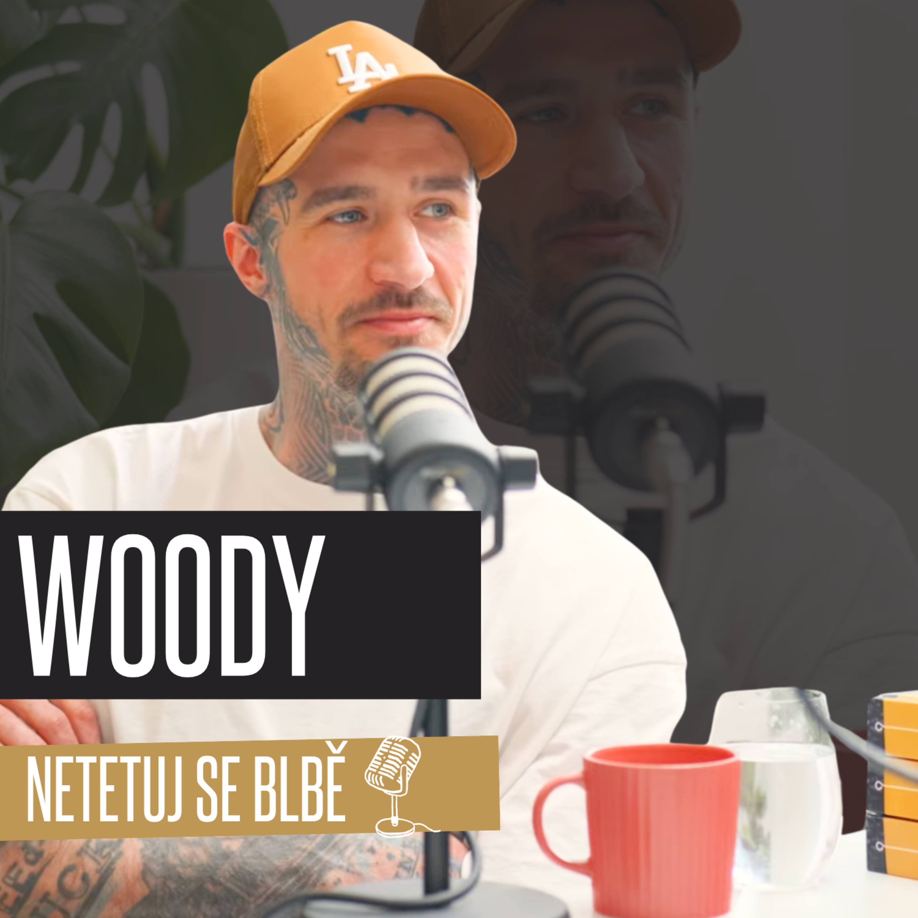 #25 Woody ✹ O konvencích, hostovačkách, vlastních kurzech, polarizačních filtrech a ArtFuelu episode artwork