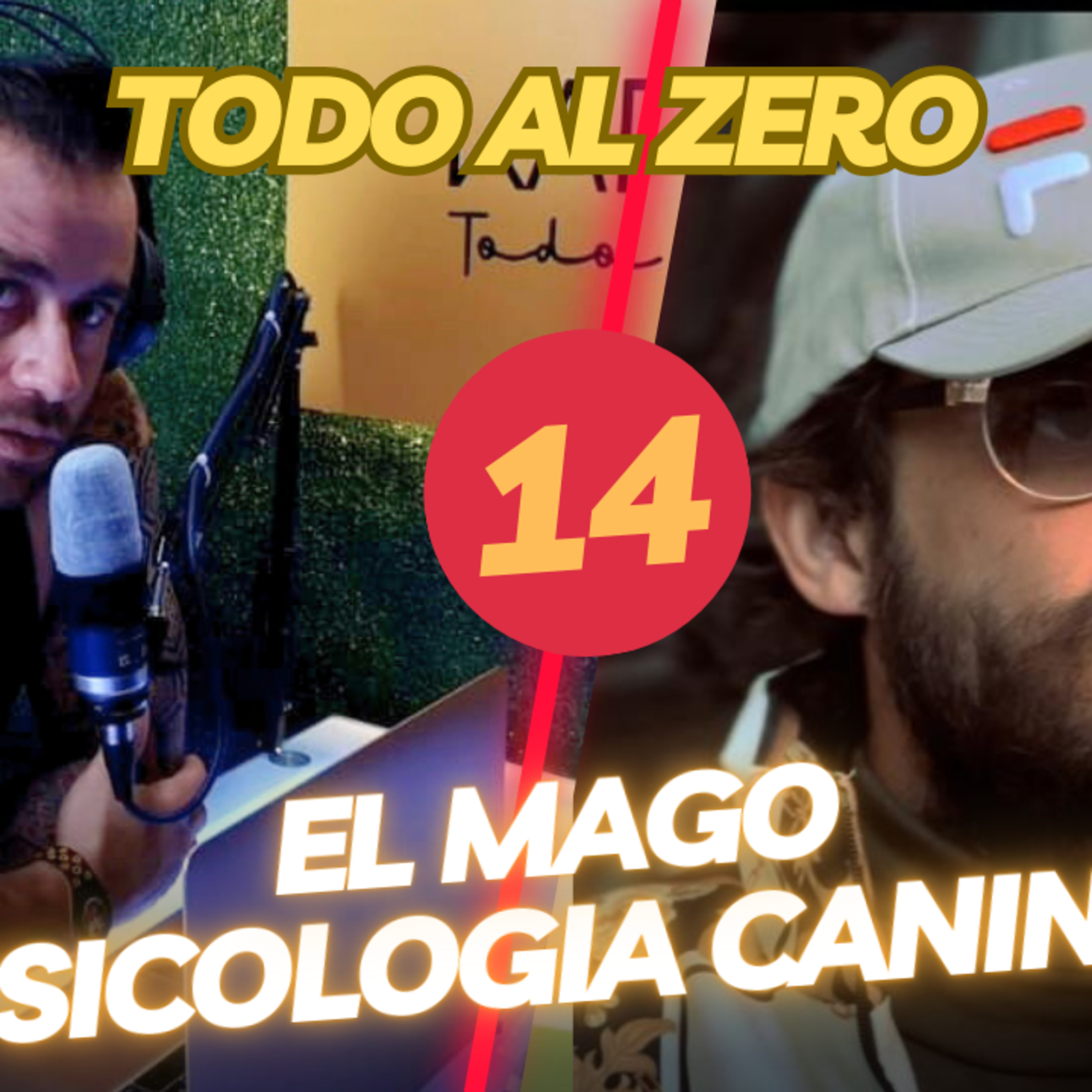 PodCast TAZ #14 - El Mago: Conversaciones con un Psicólogo Canino Excepcional episode artwork
