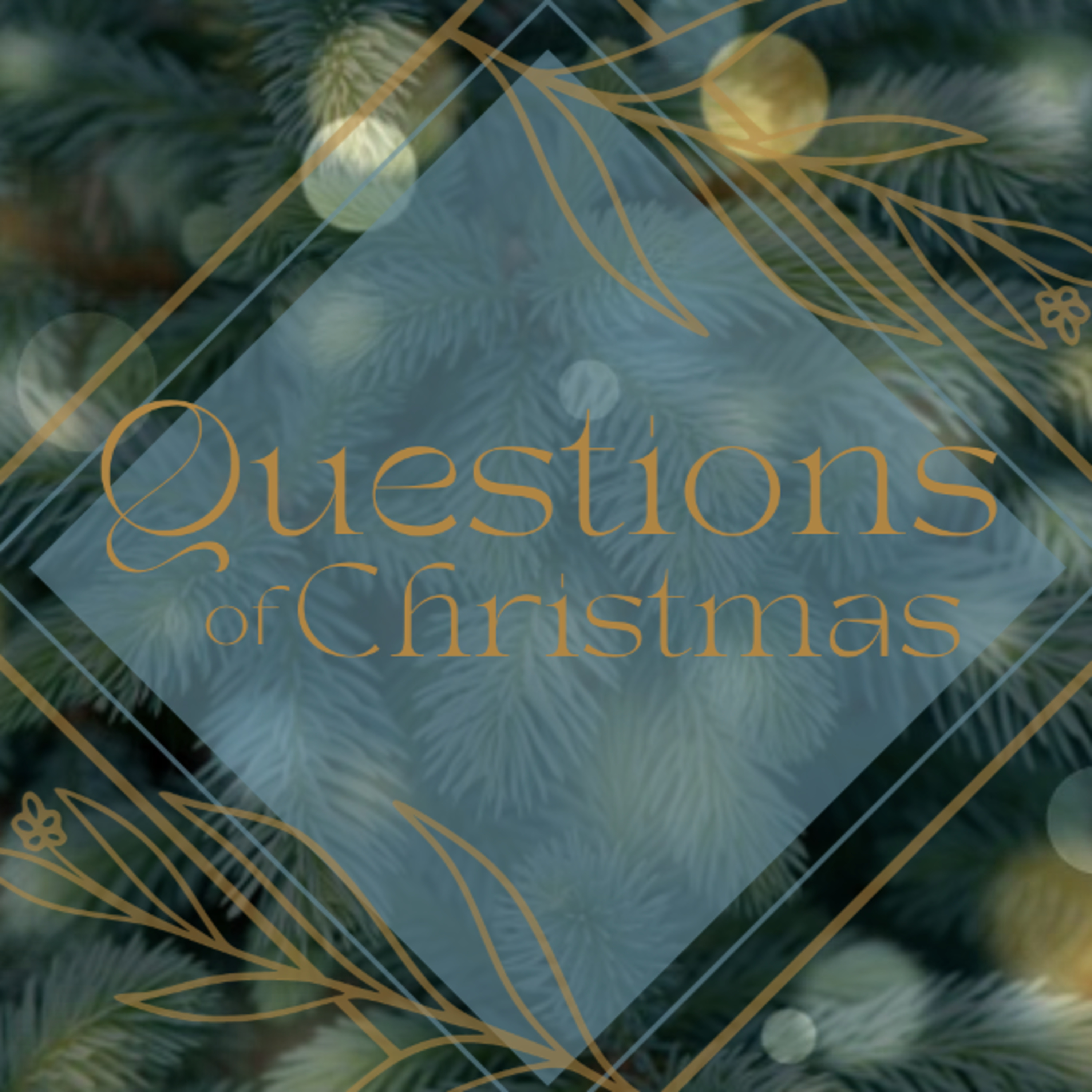 S2 E7 - Questions of Christmas: How Will I Know episode artwork
