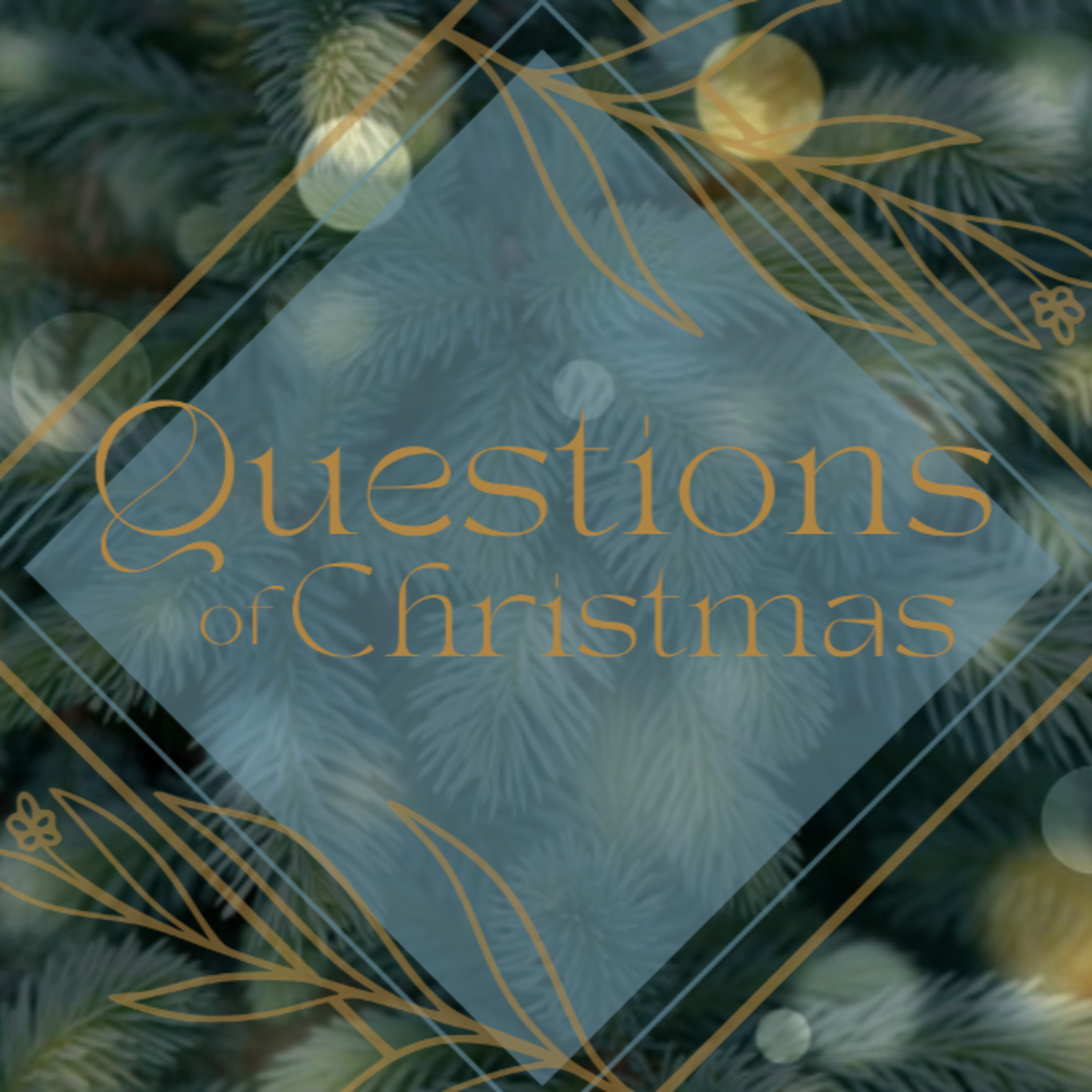 S2 E9 - Questions of Christmas: What Will This Child Become