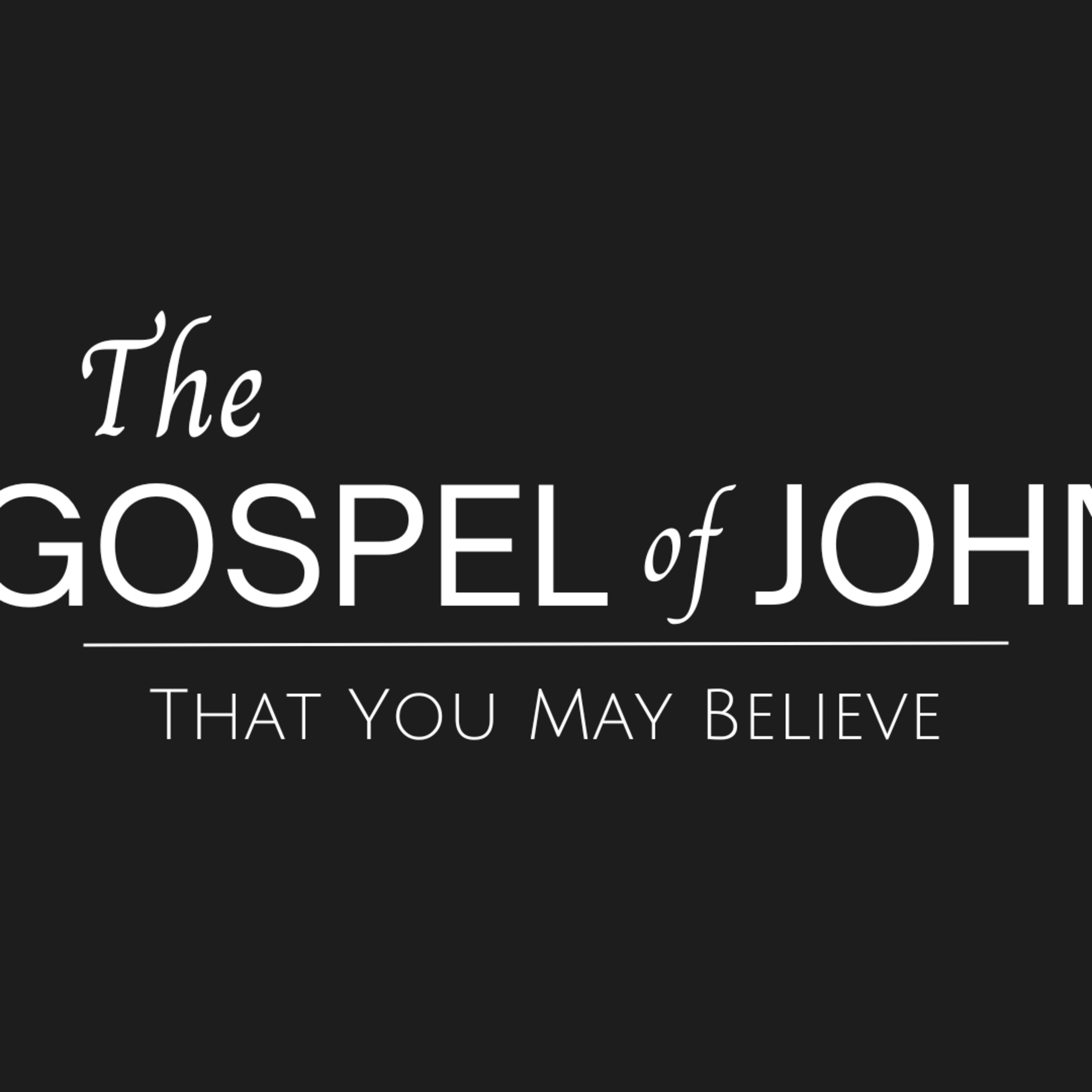 S5 E8 - Jesus Heals the Official's Son: The Gospel of John