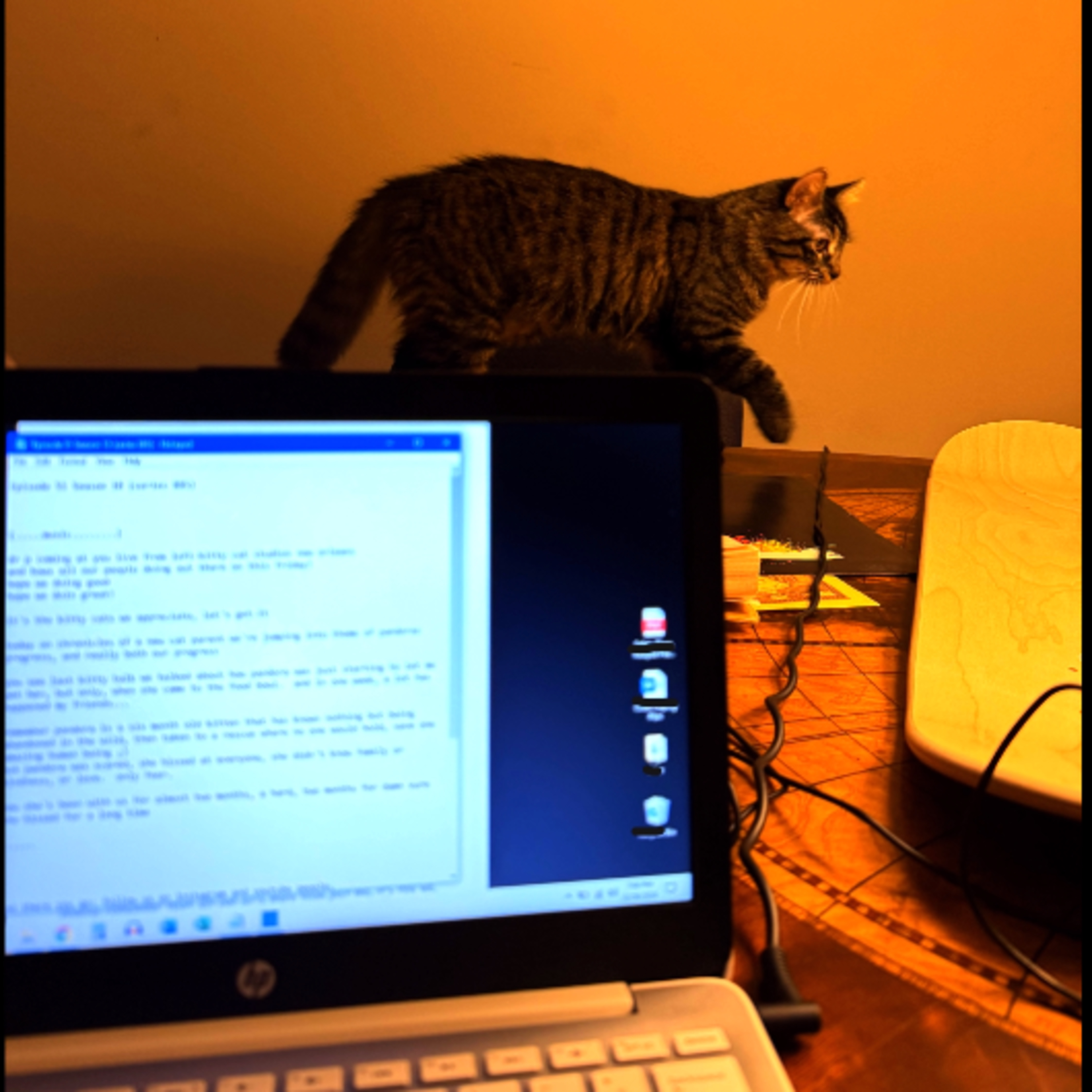 "Kitty Talk: The Chronicles of a New Cat-Parent (Day 194)" episode artwork