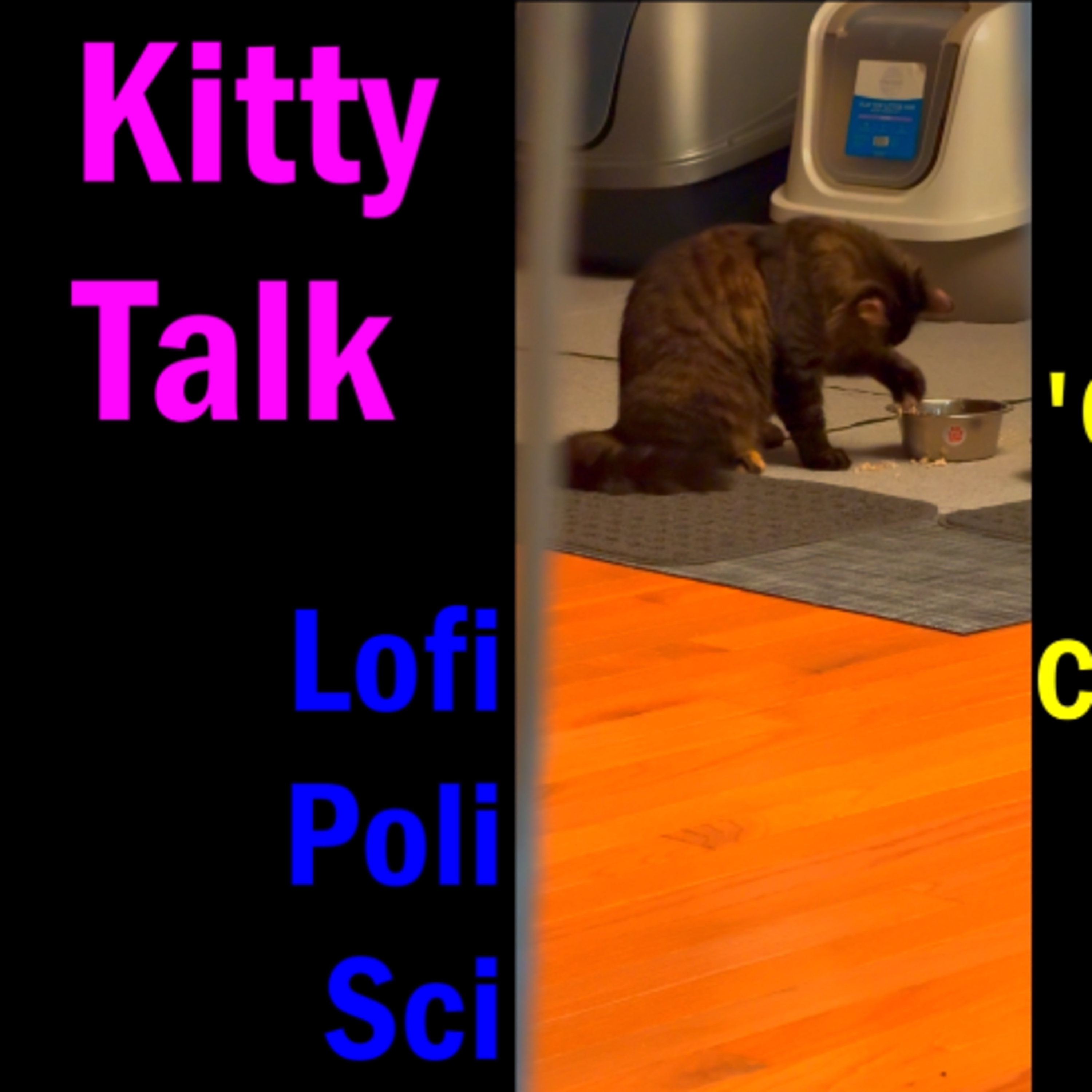 "Kitty Talk: the Chronicles of a new Cat-Parent...Day 209" episode artwork