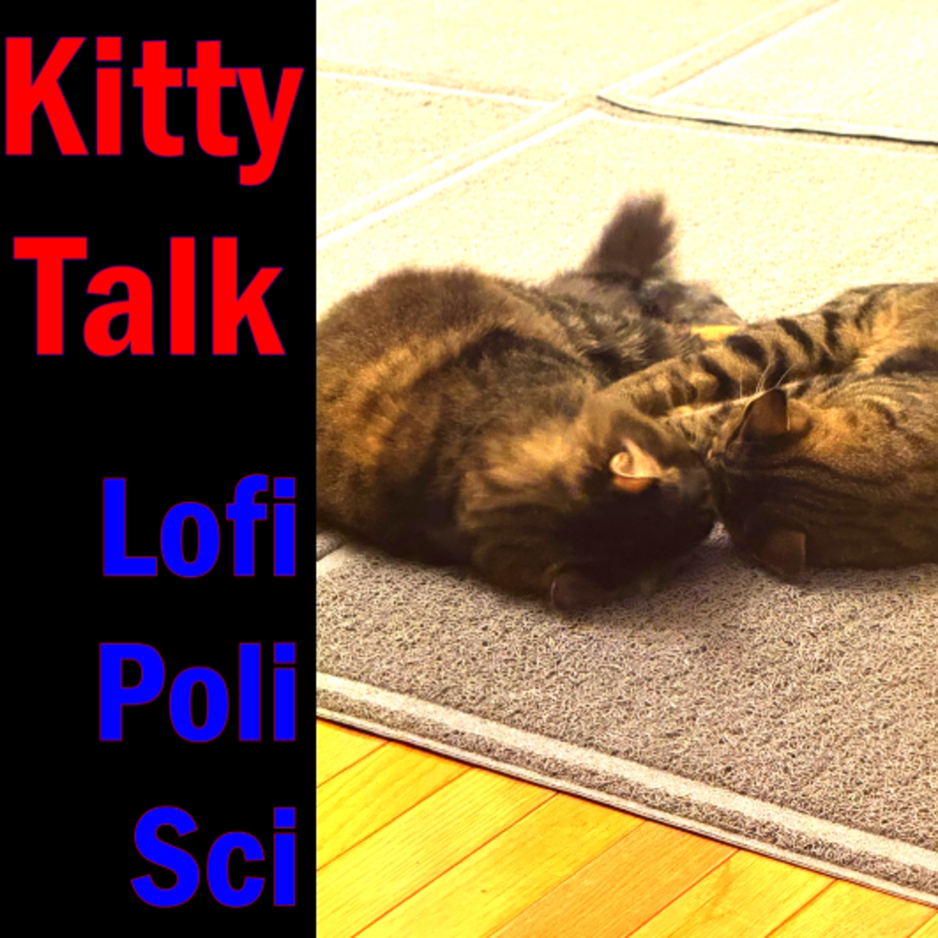 "Kitty Talk: The Chronicles of a New Cat-Parent" episode artwork