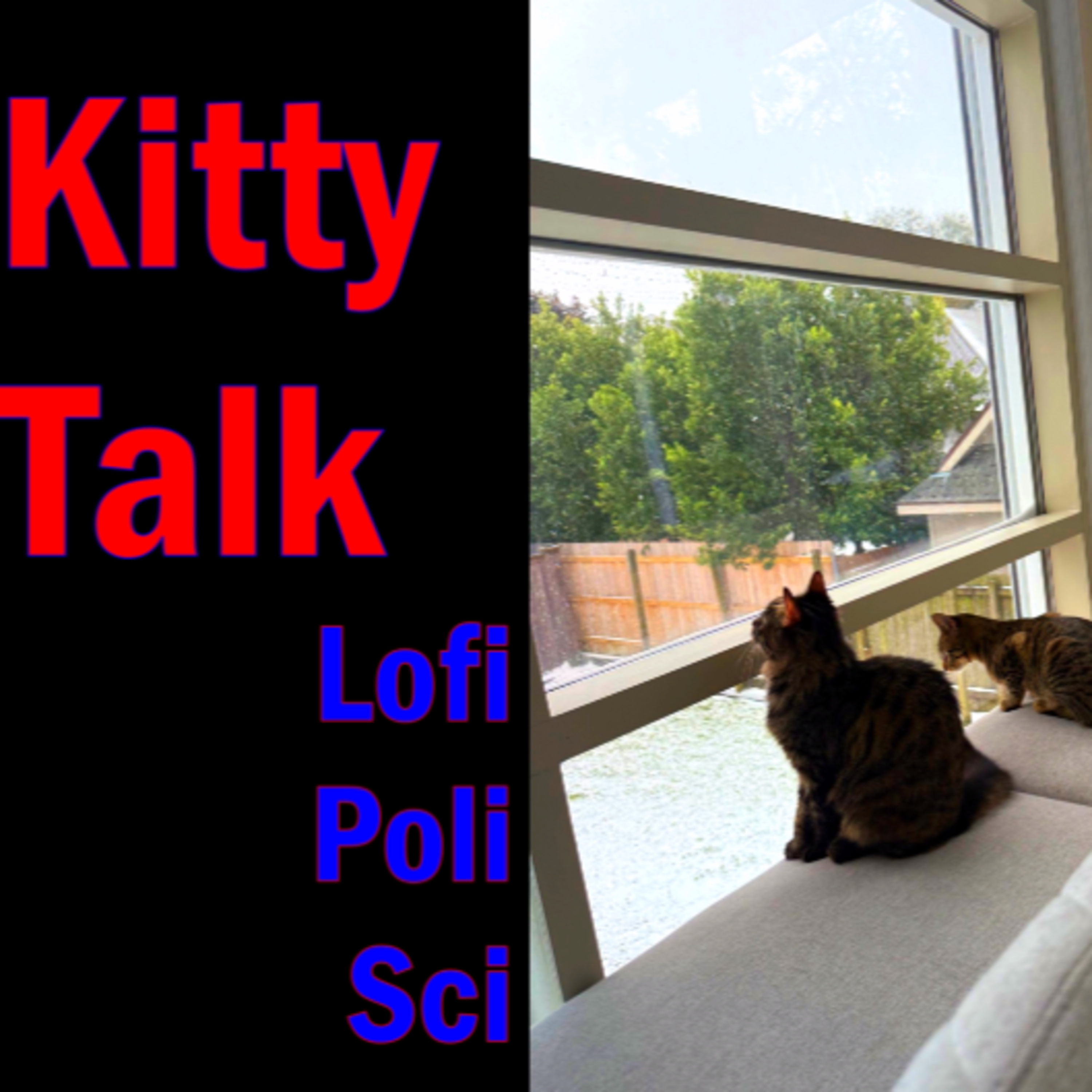 "Kitty Talk: the Chronicles of a New Cat-Parent" episode artwork