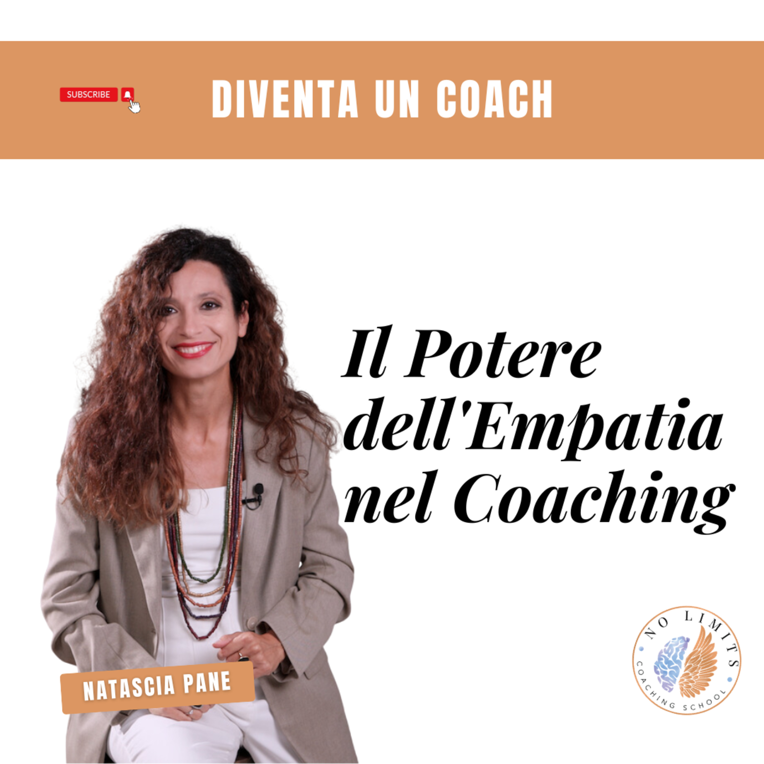 No Limits Coaching School