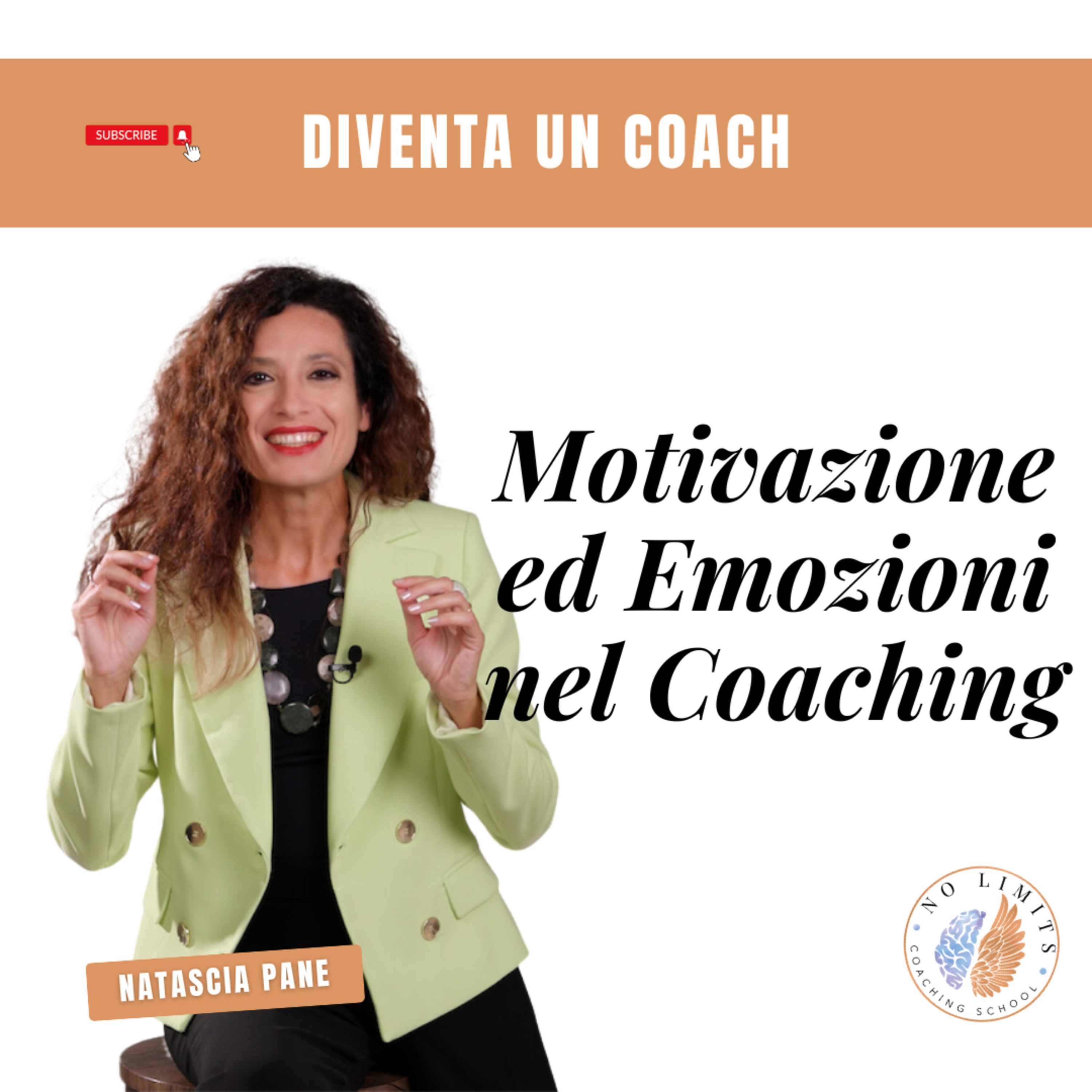 No Limits Coaching School