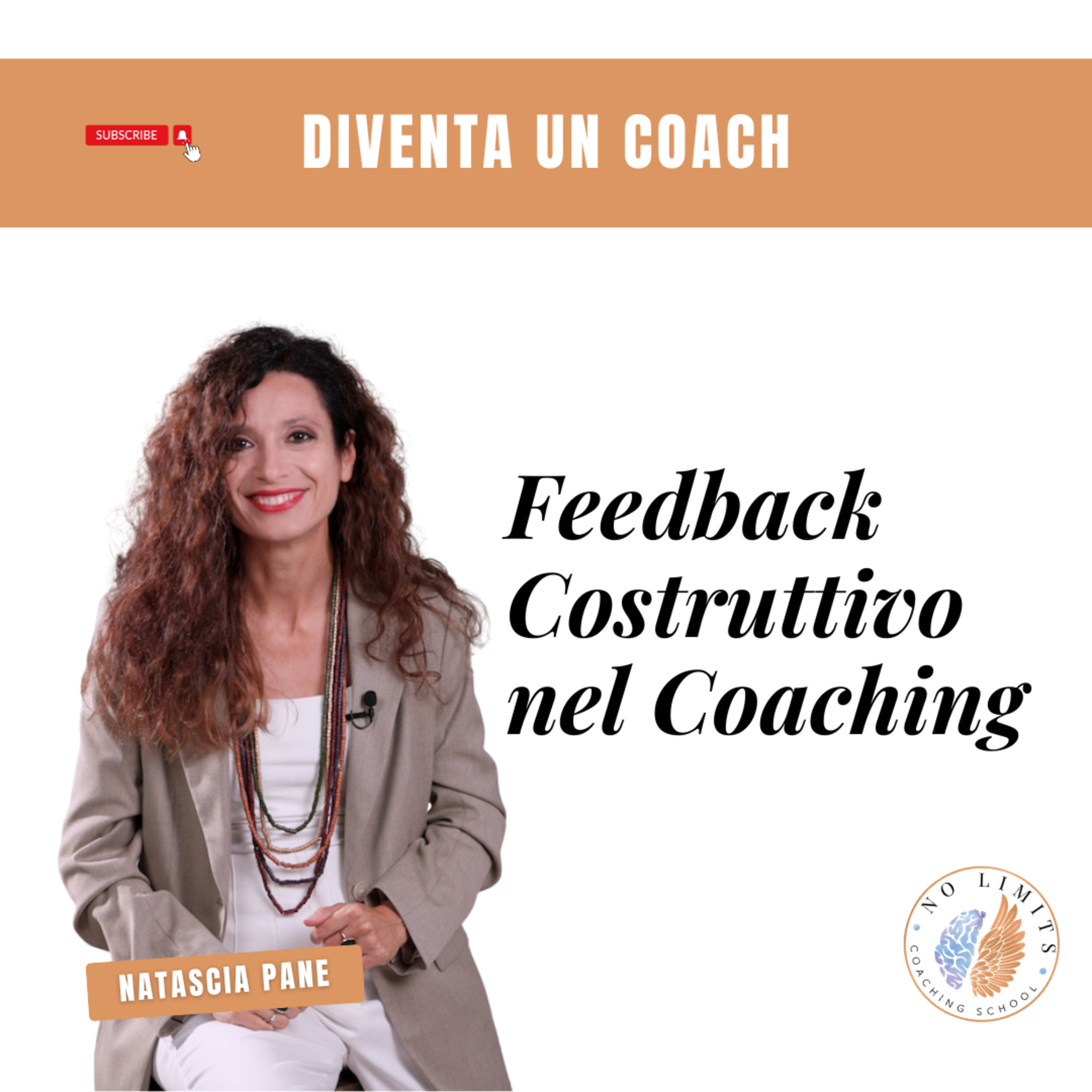 No Limits Coaching School