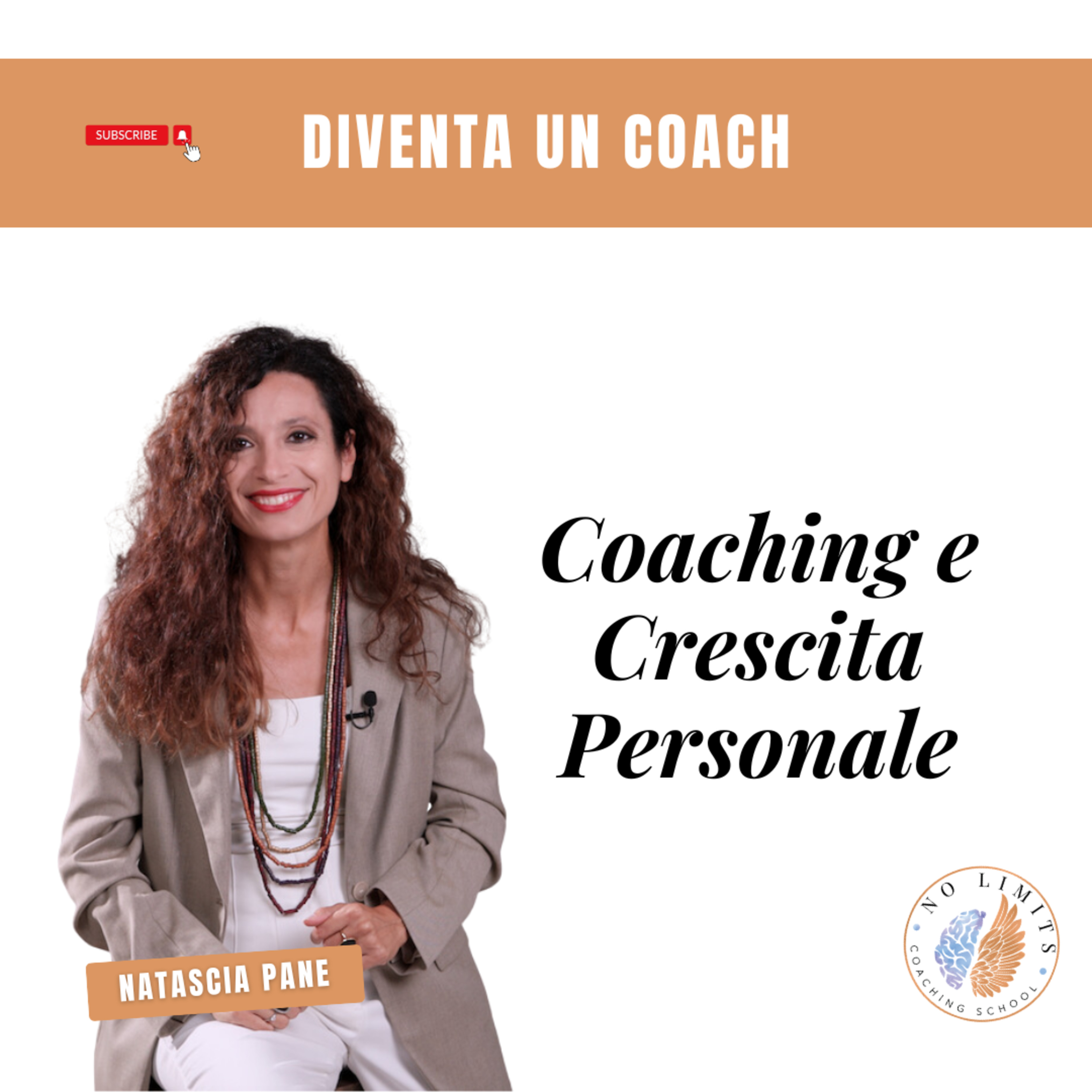 No Limits Coaching School