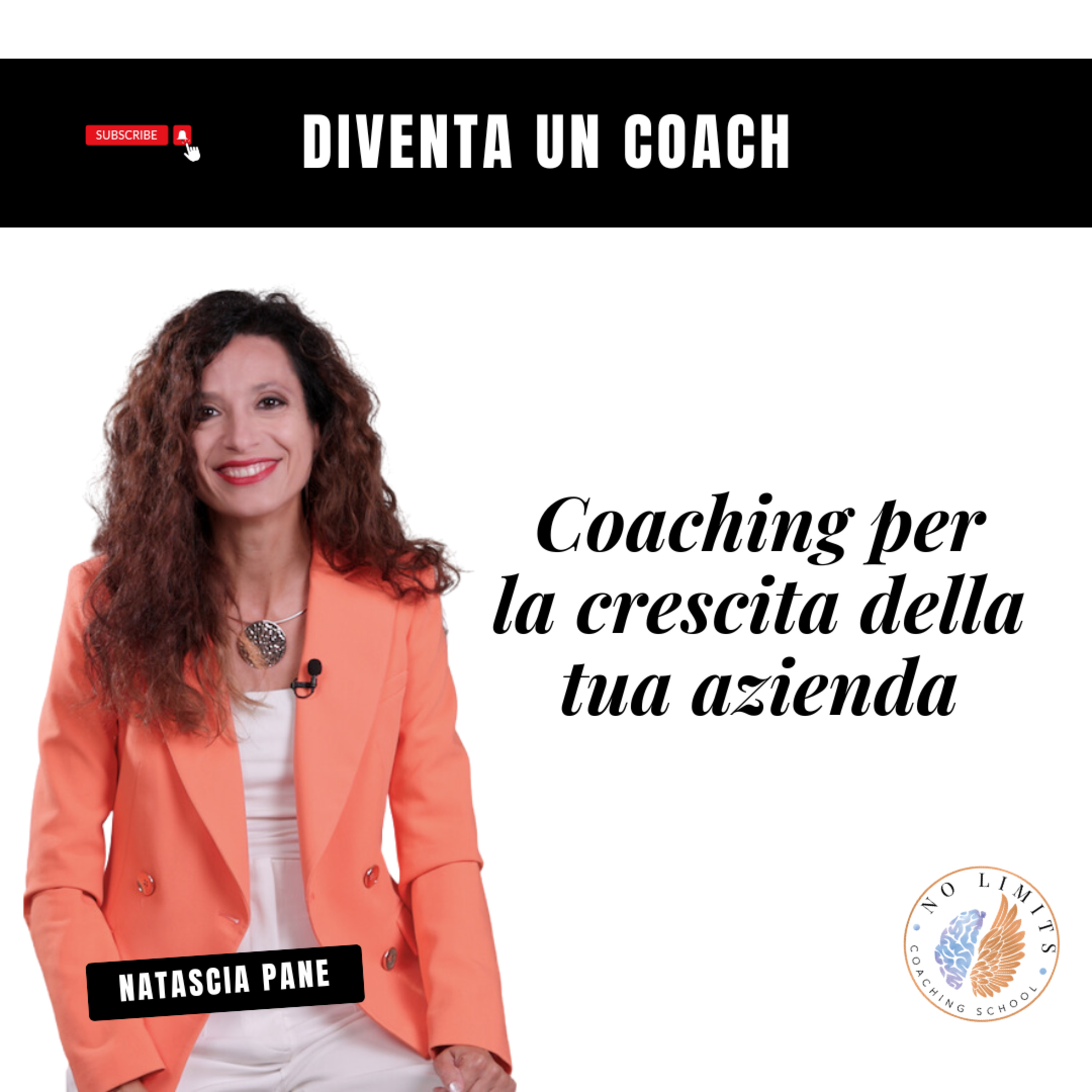 No Limits Coaching School