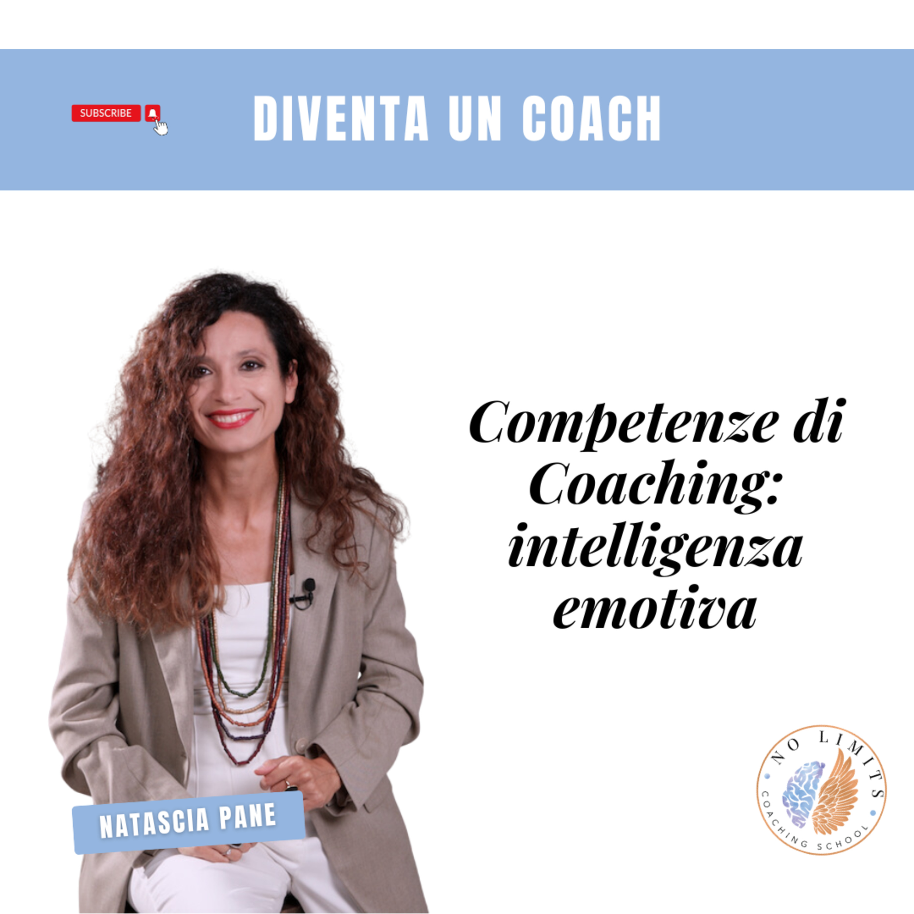 No Limits Coaching School