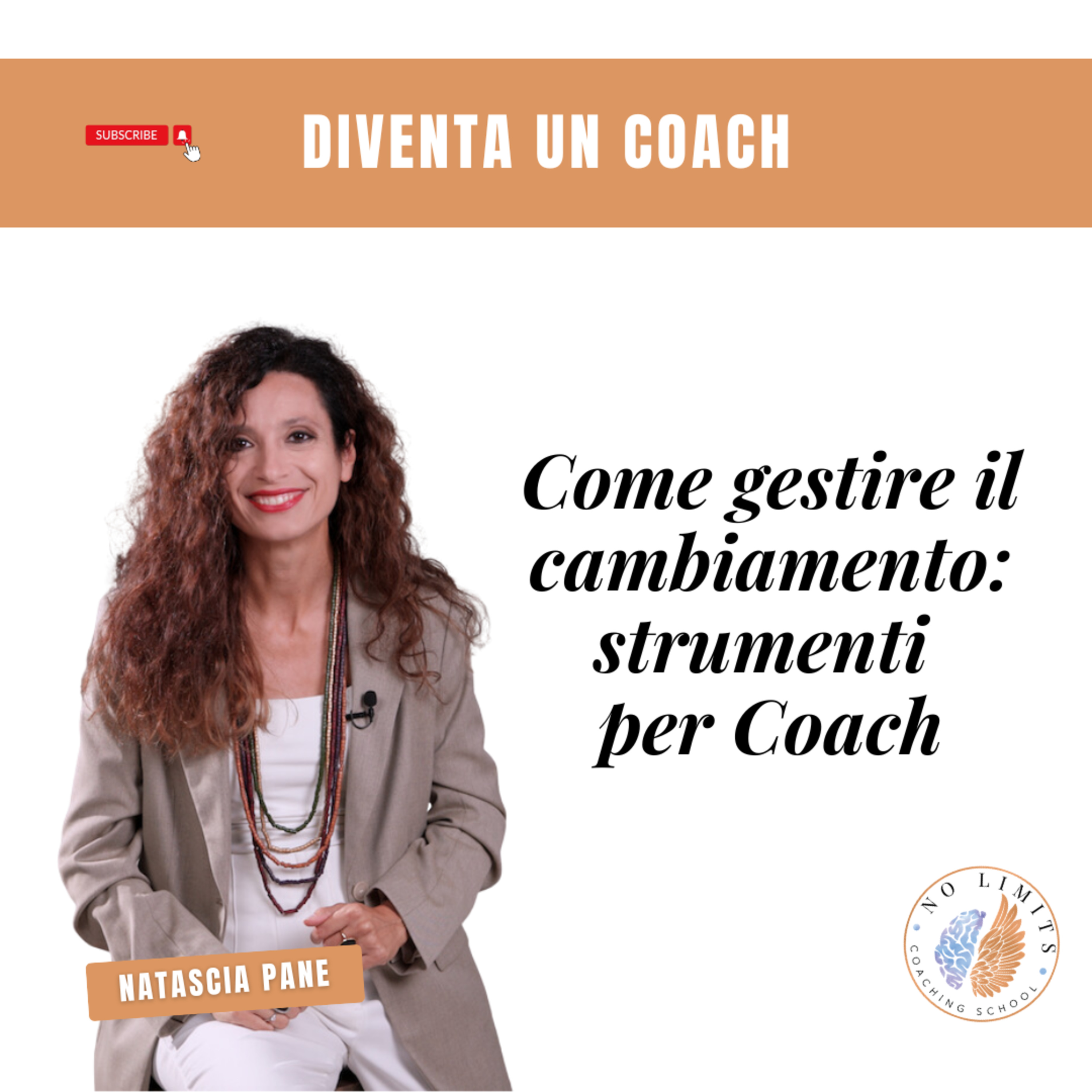 No Limits Coaching School