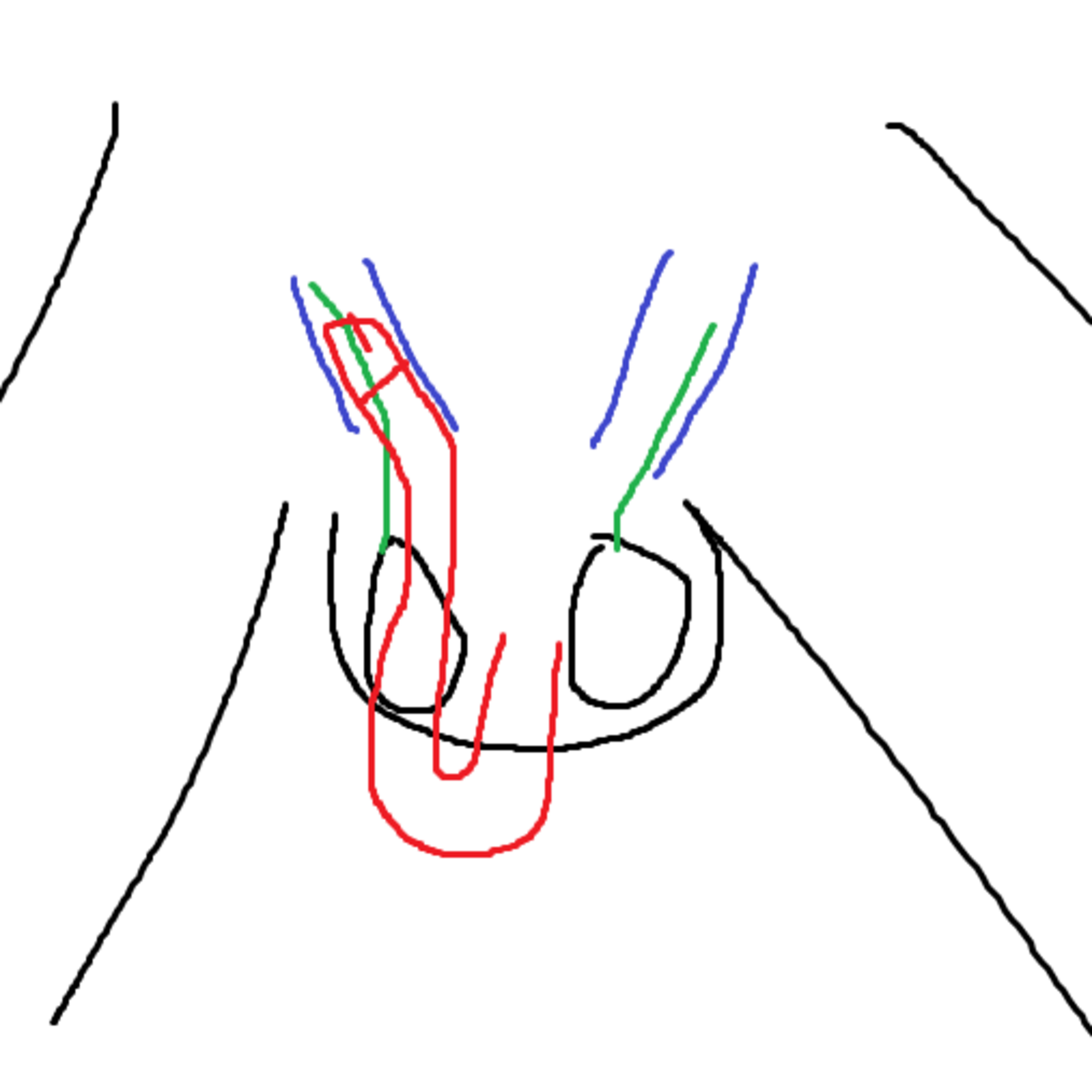 Episode 14: Klein Bottle Tucking (ft. Rodney @SkinnyTuna & Nyano @gncfosho ) episode artwork