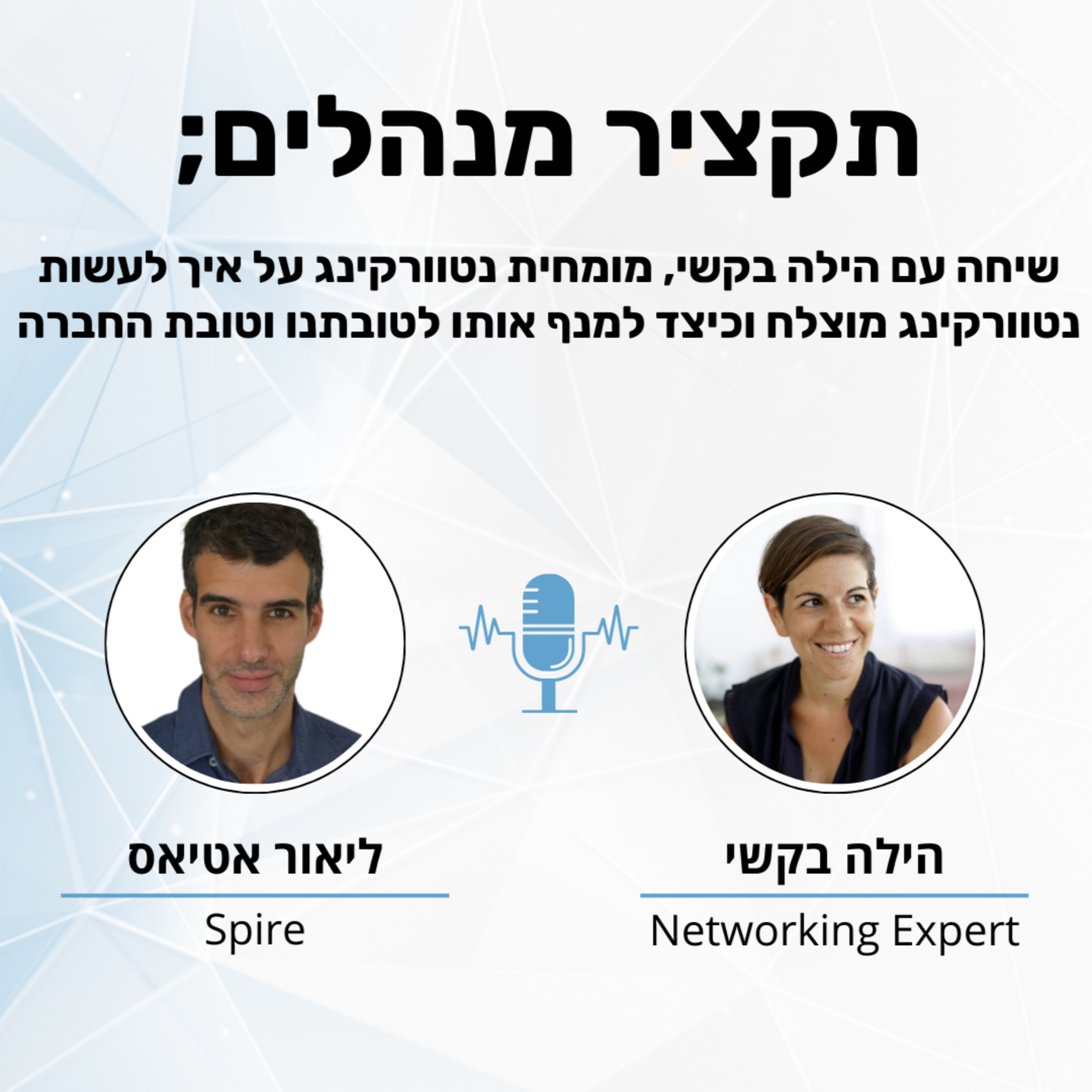 תקציר מנהלים
