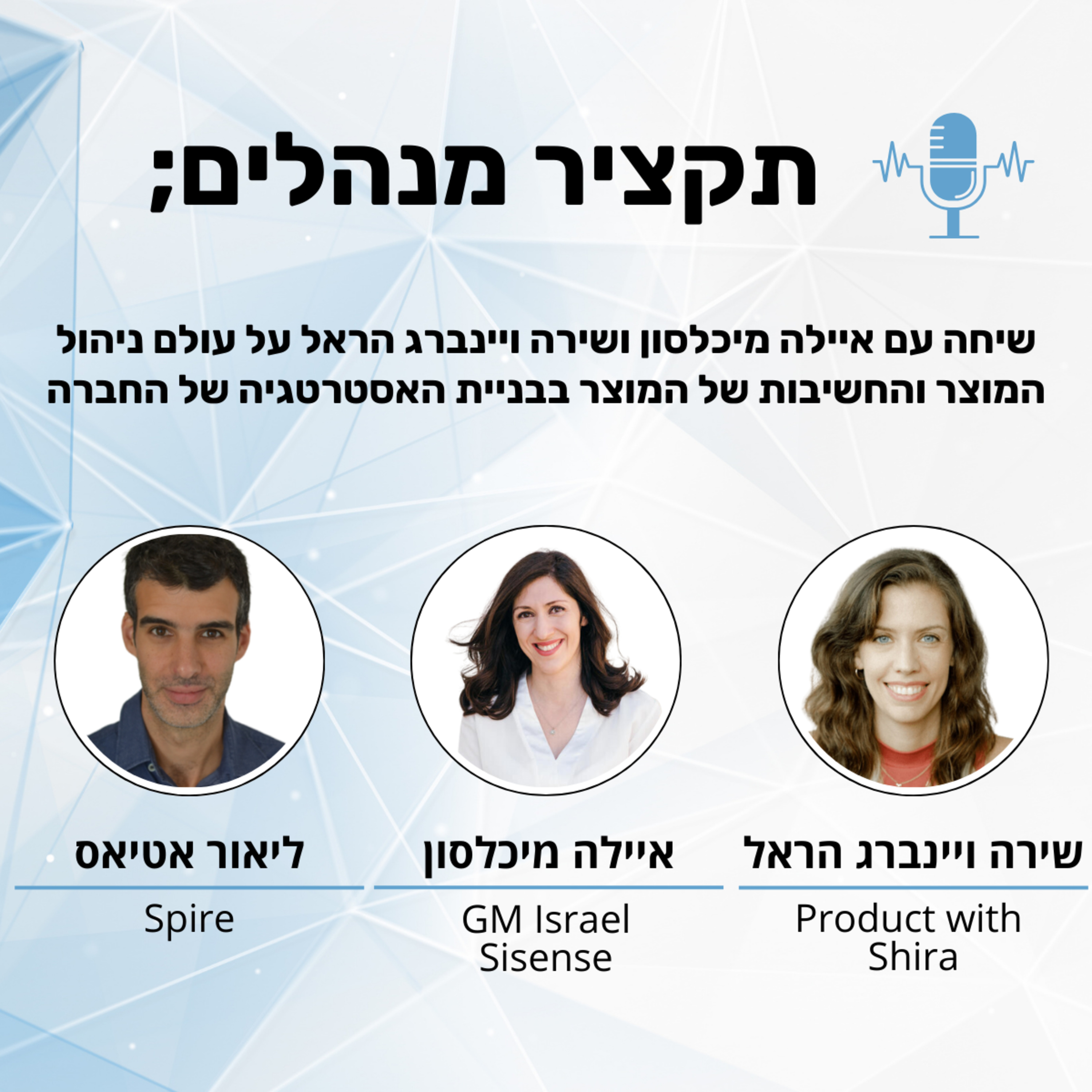 תקציר מנהלים
