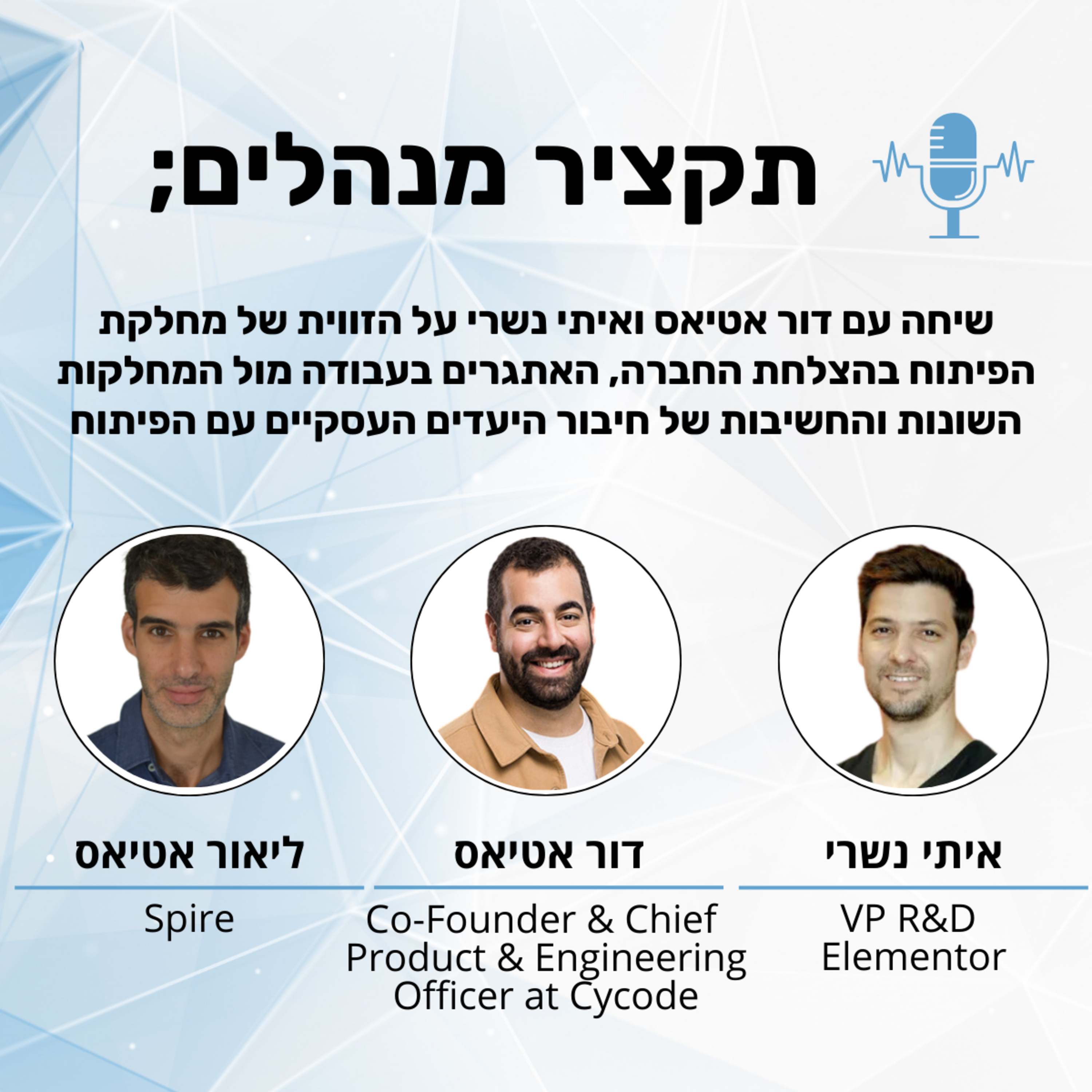 תקציר מנהלים