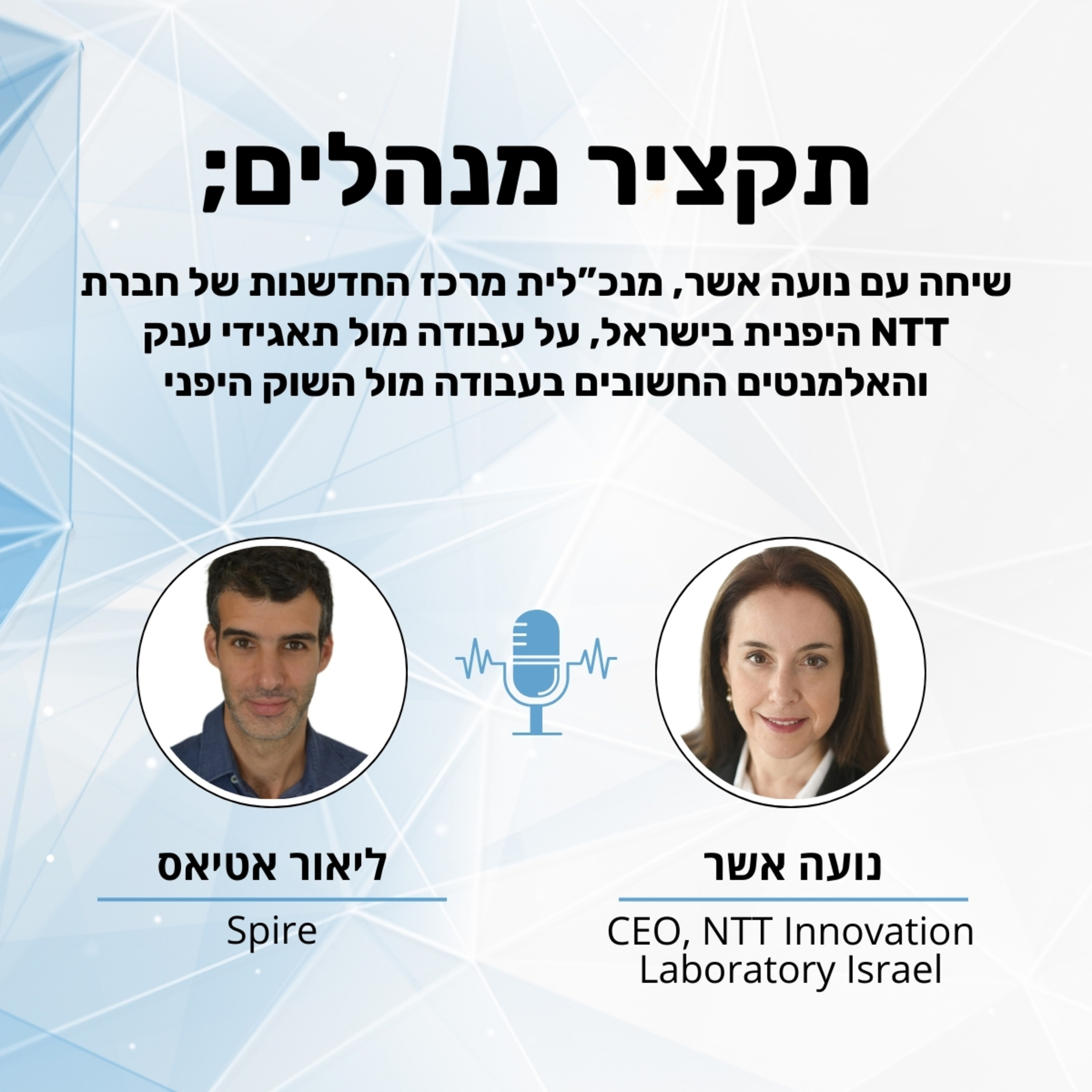 תקציר מנהלים