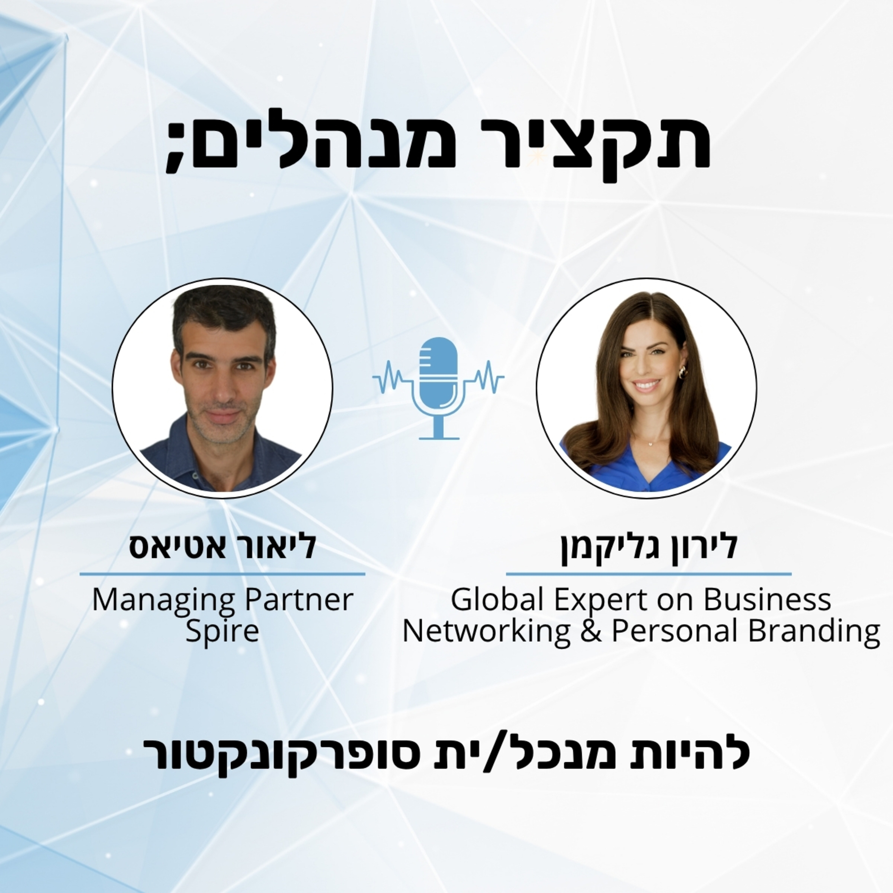 תקציר מנהלים