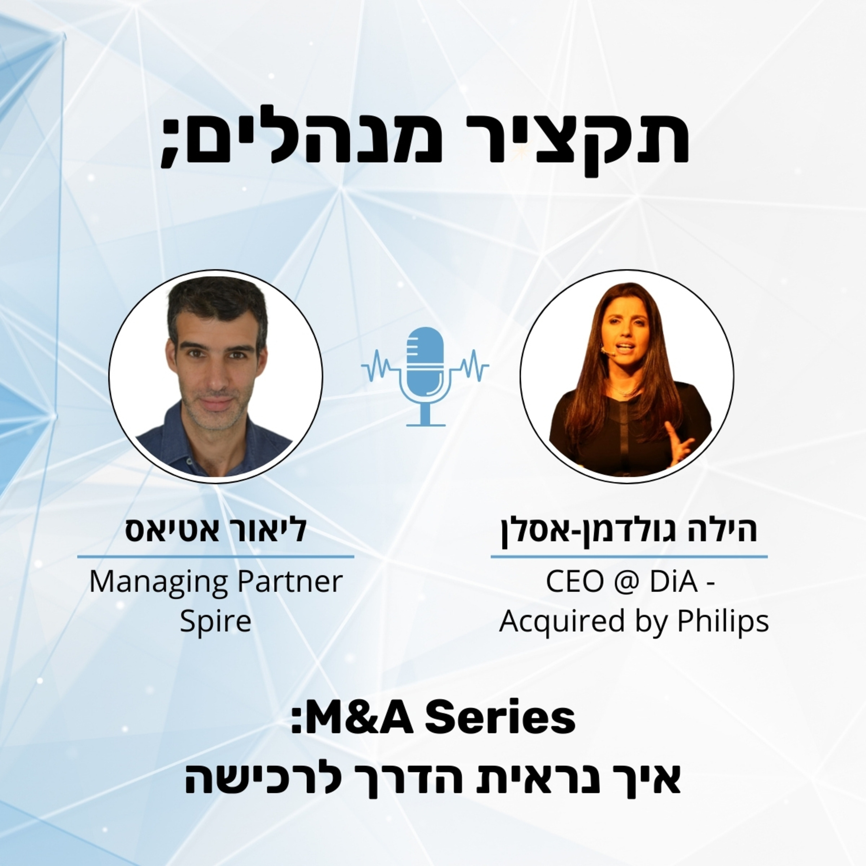 תקציר מנהלים