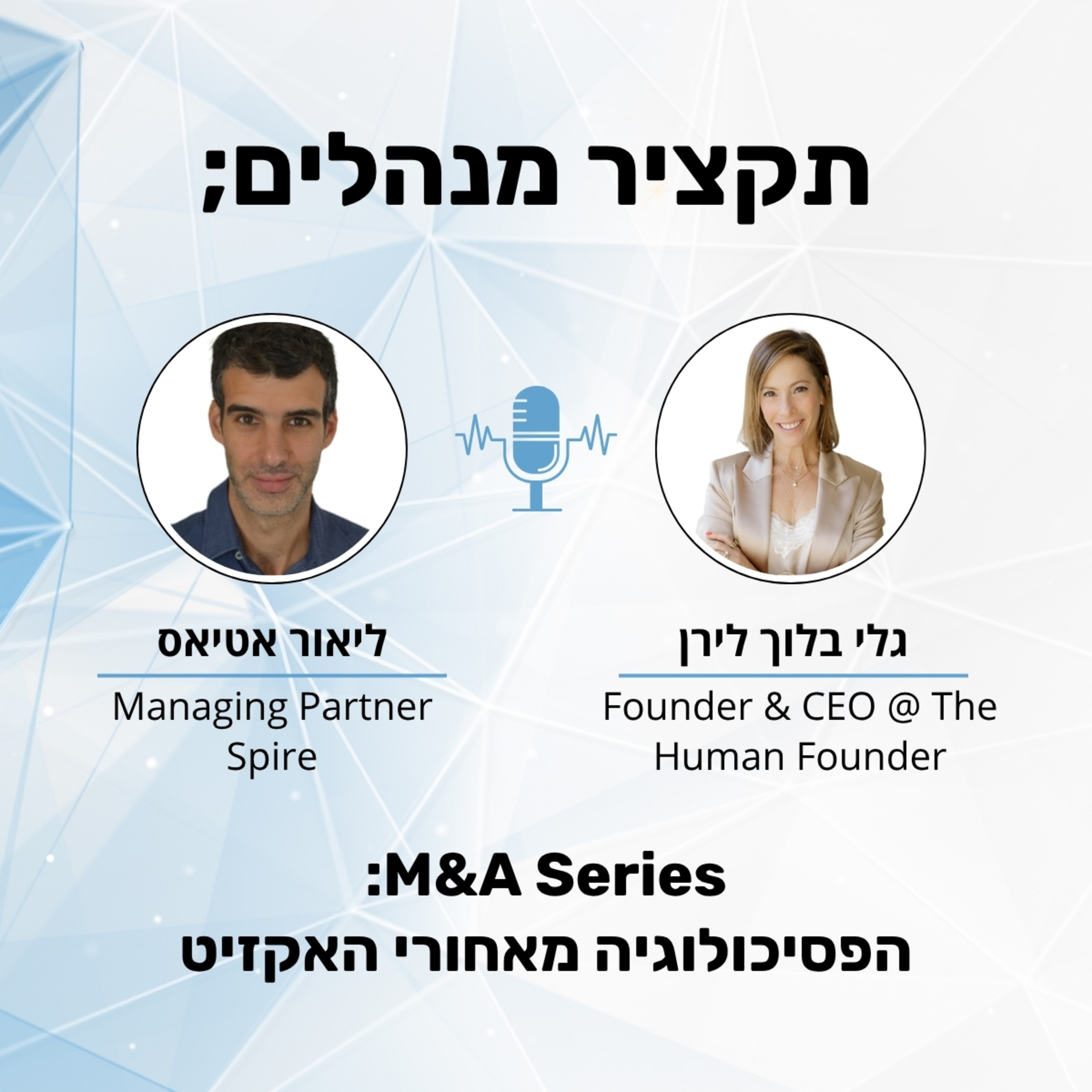 תקציר מנהלים