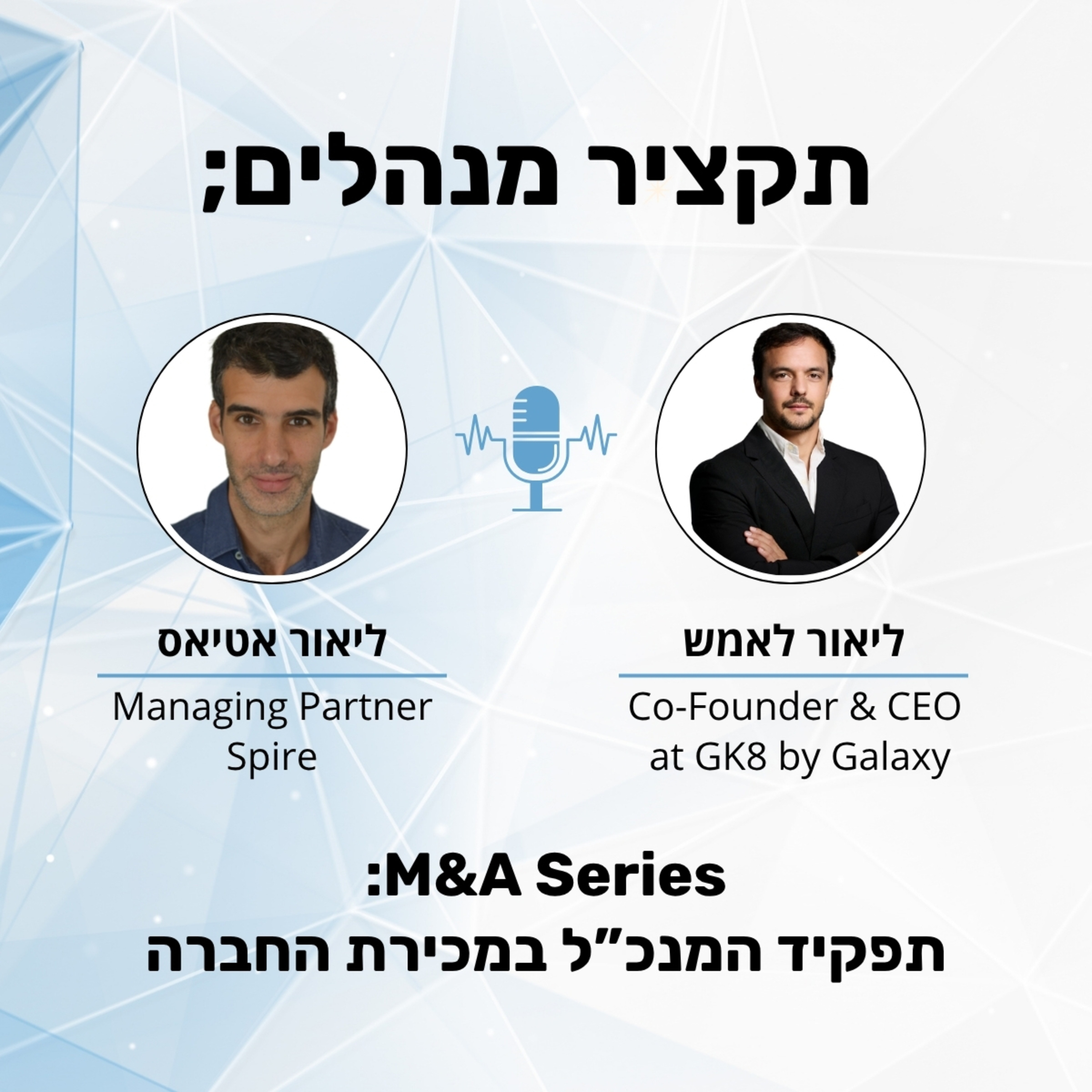 תקציר מנהלים