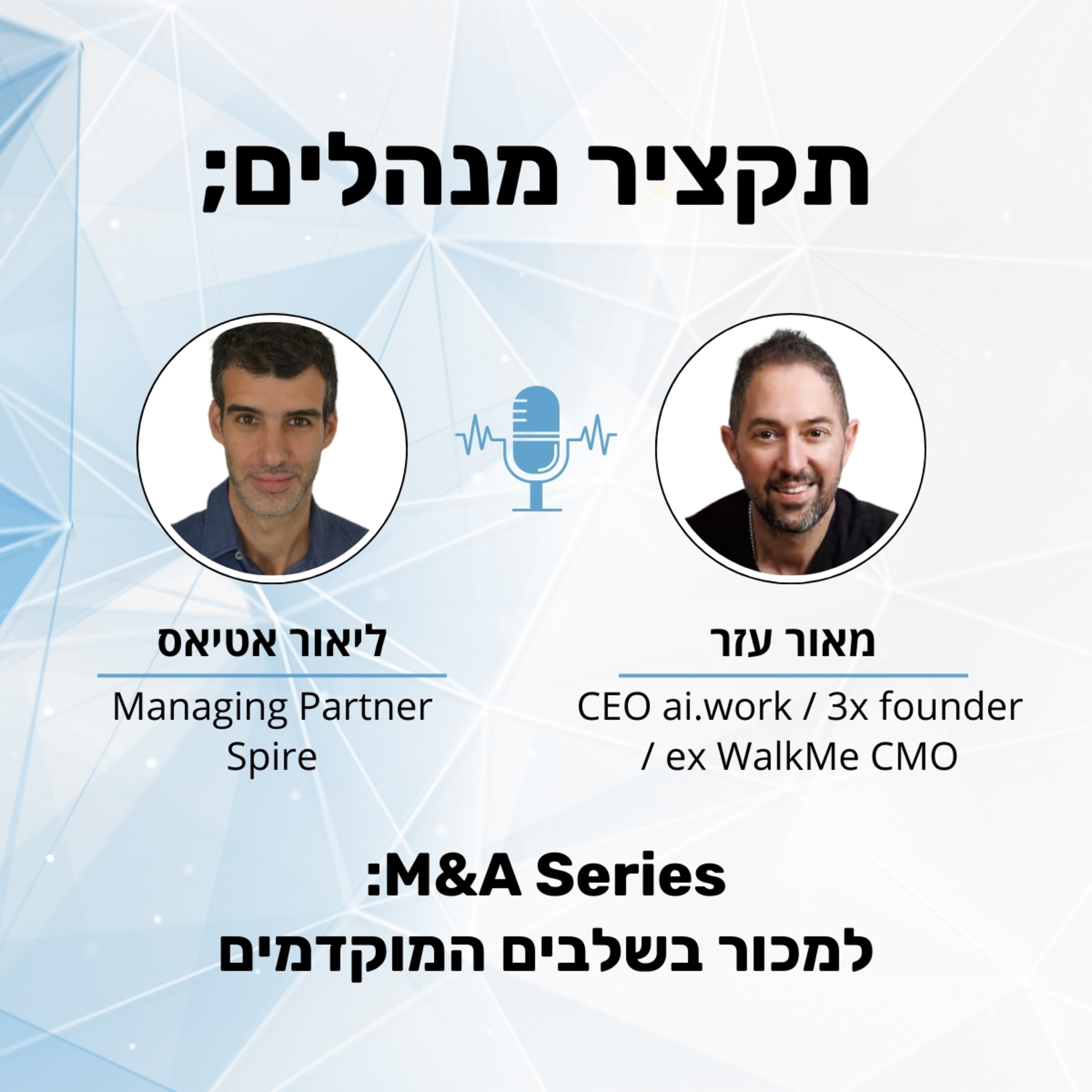 תקציר מנהלים