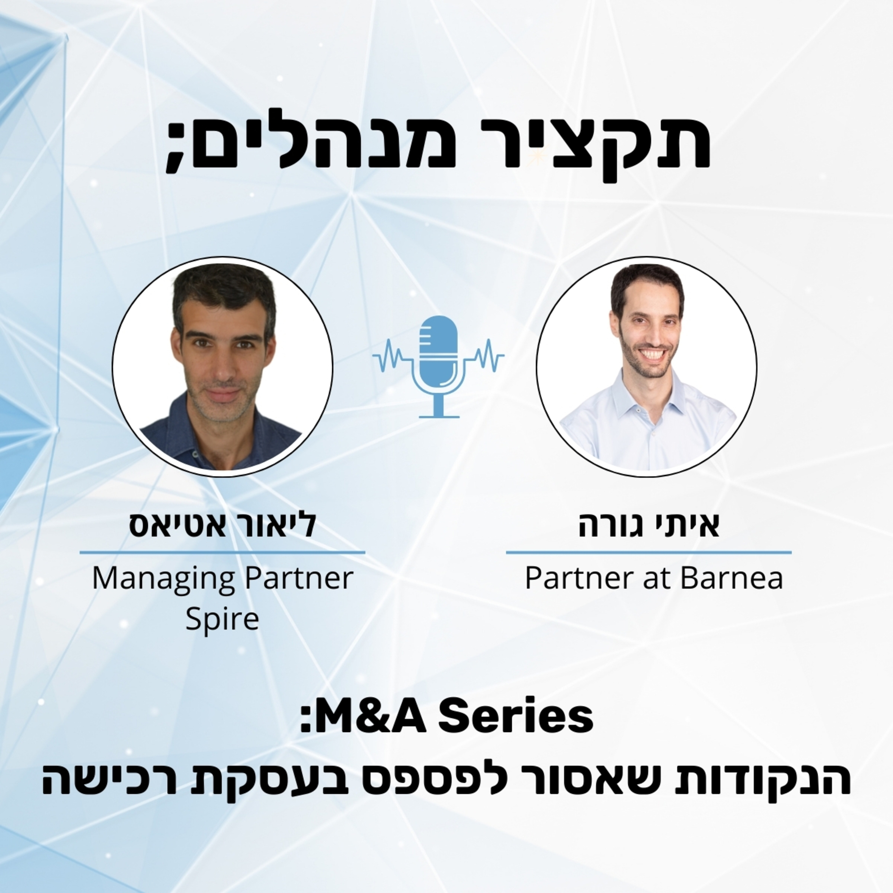 תקציר מנהלים