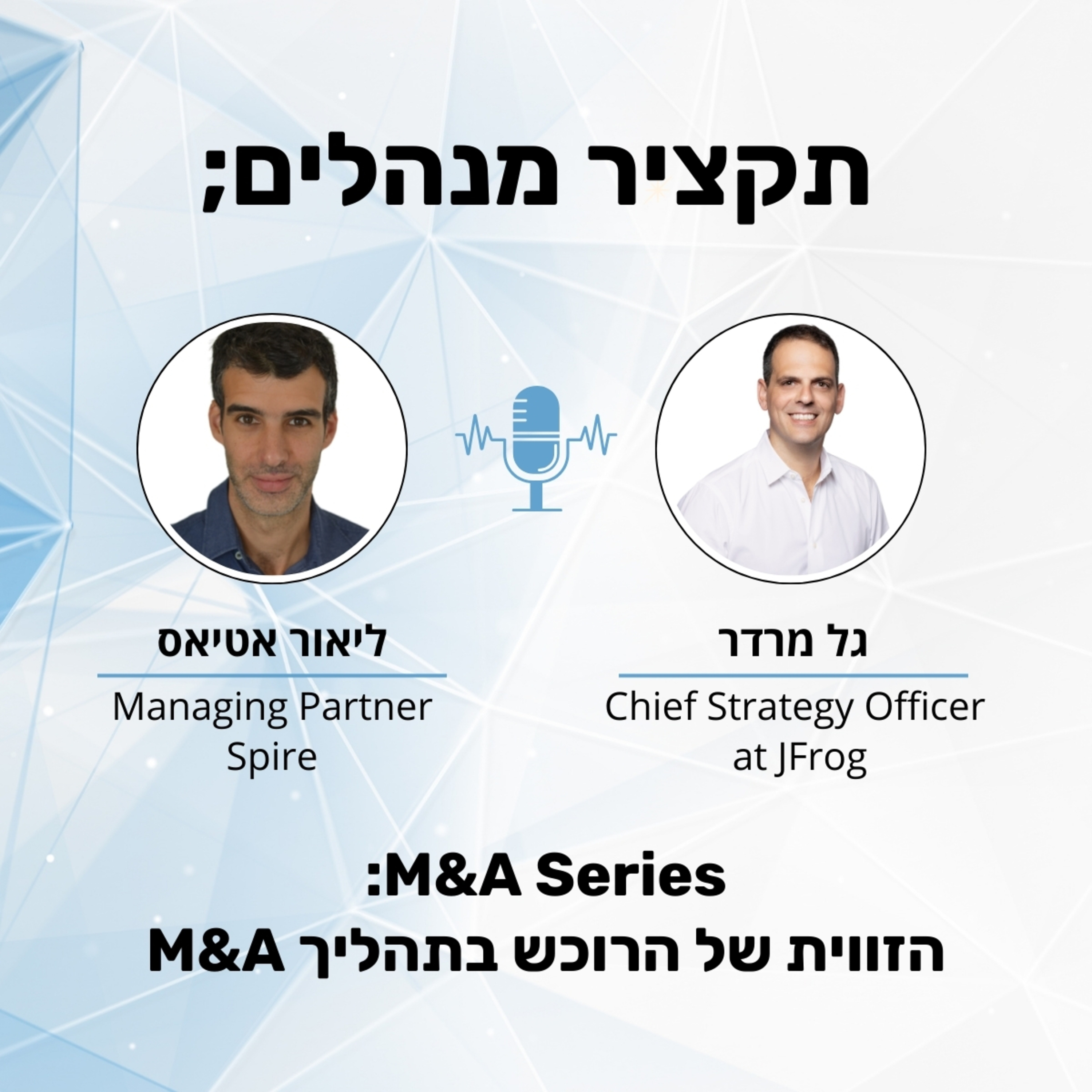 תקציר מנהלים