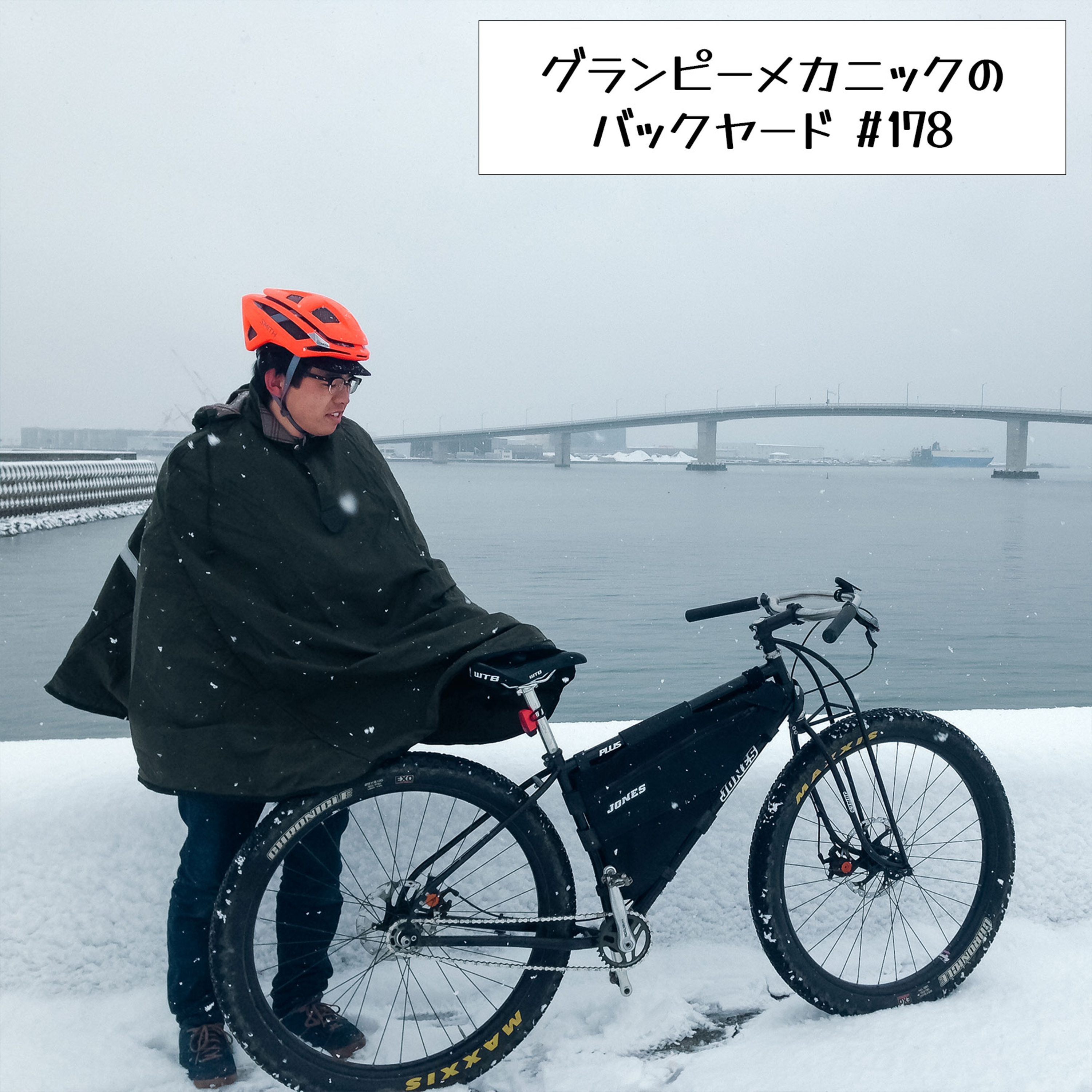 Artwork for グランピーメカニックのバックヤード