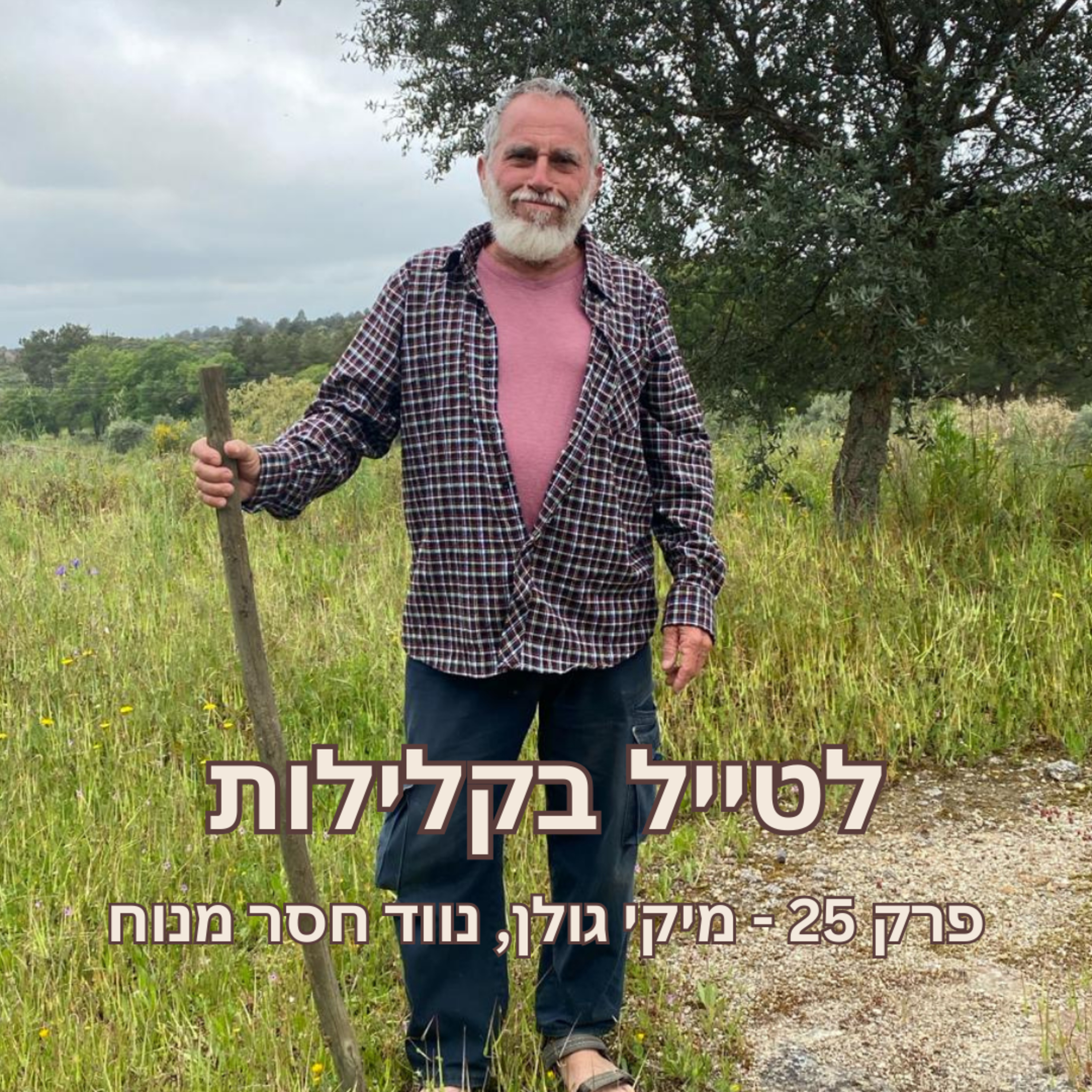 פרק 25 - מיקי גולן, נווד חסר מנוח episode artwork
